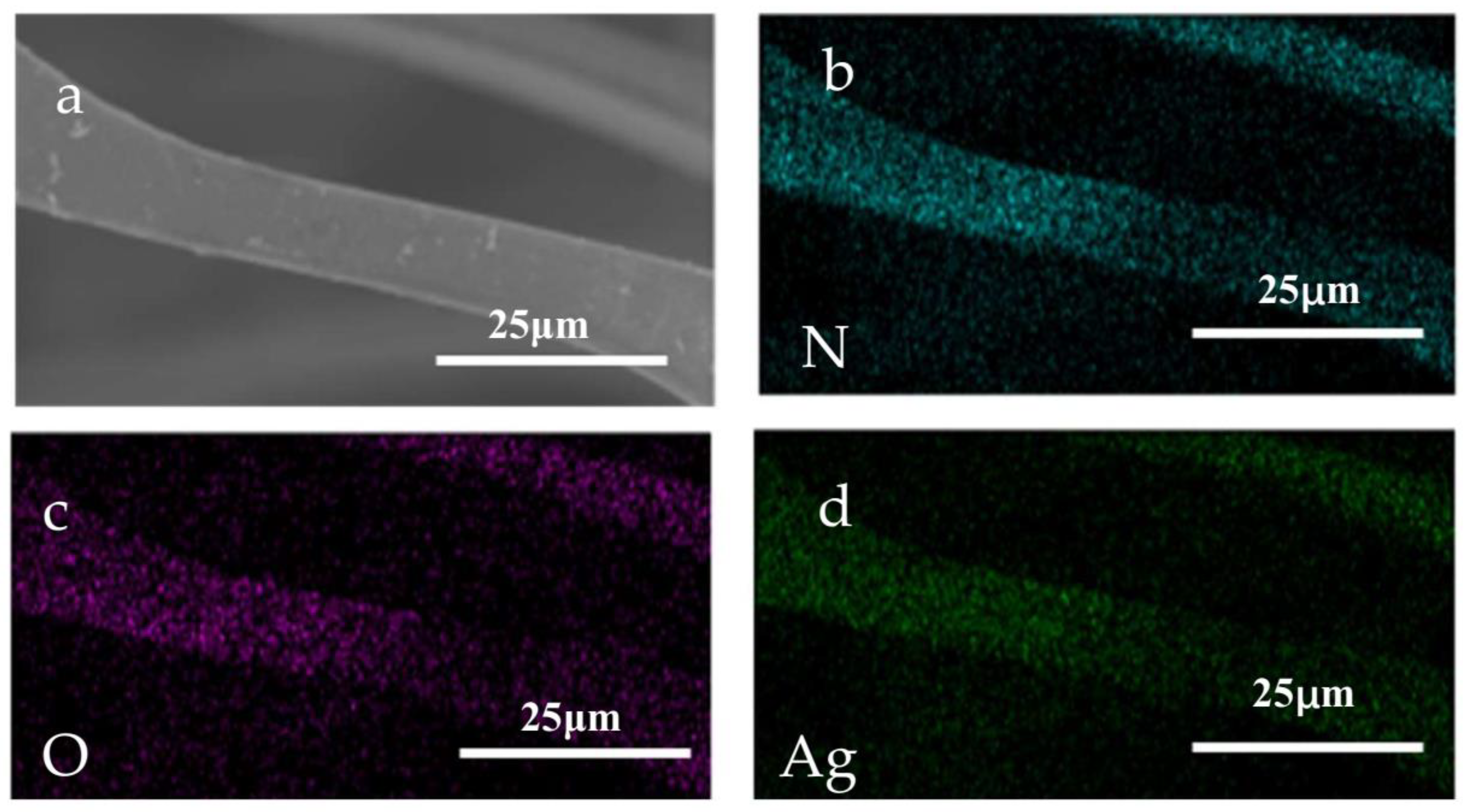 Coatings 11 00521 g004