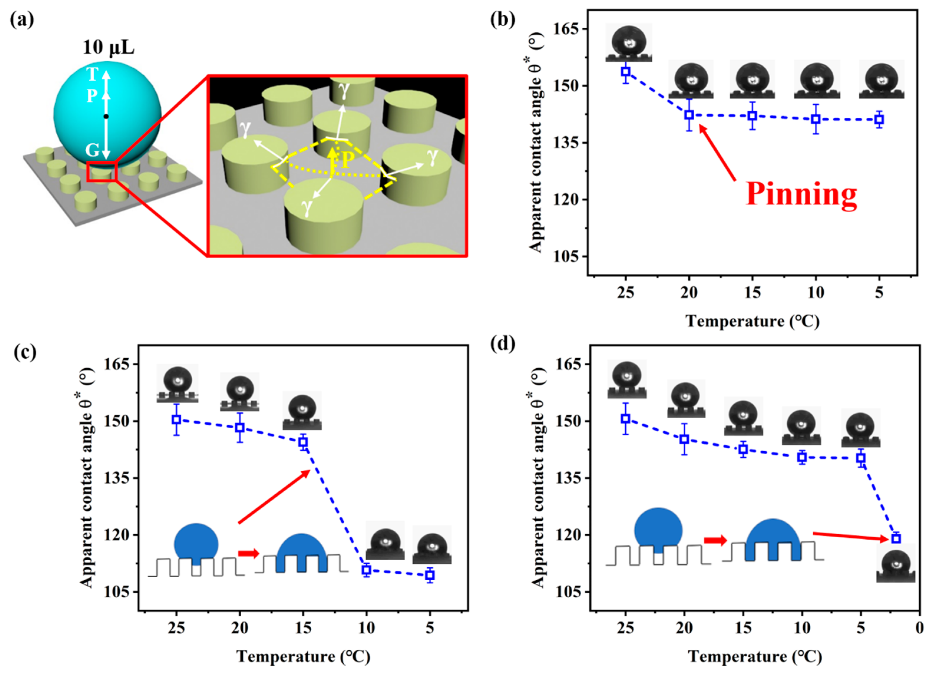 Coatings 11 00522 g003 Coatings 11 00522 g003