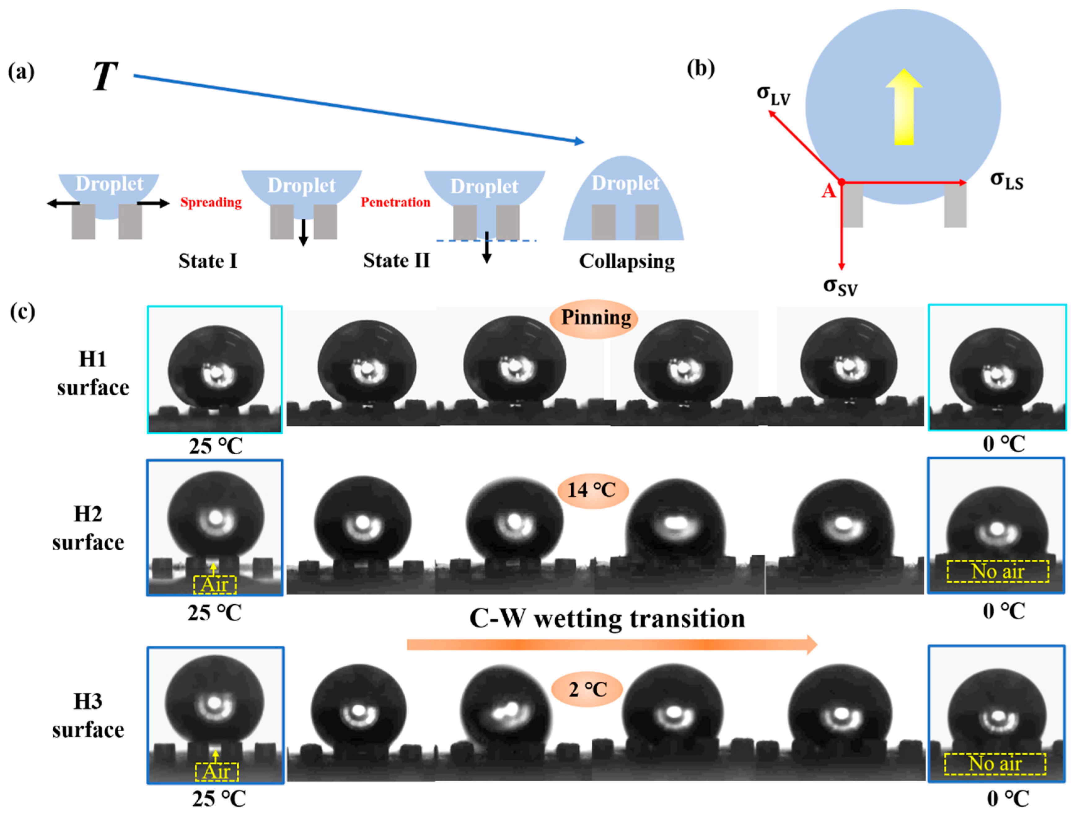 Coatings 11 00522 g004 Coatings 11 00522 g004