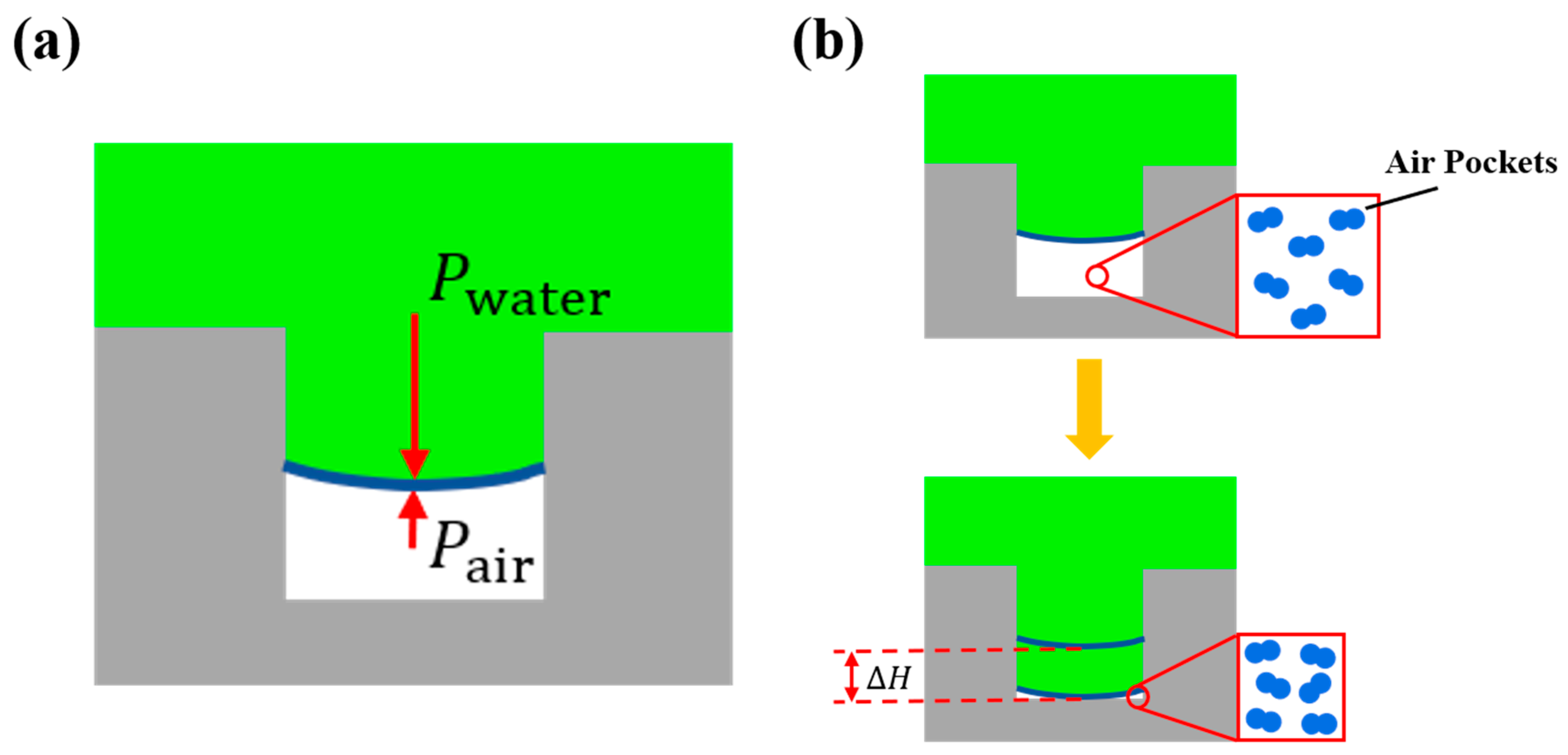 Coatings 11 00522 g005 Coatings 11 00522 g005