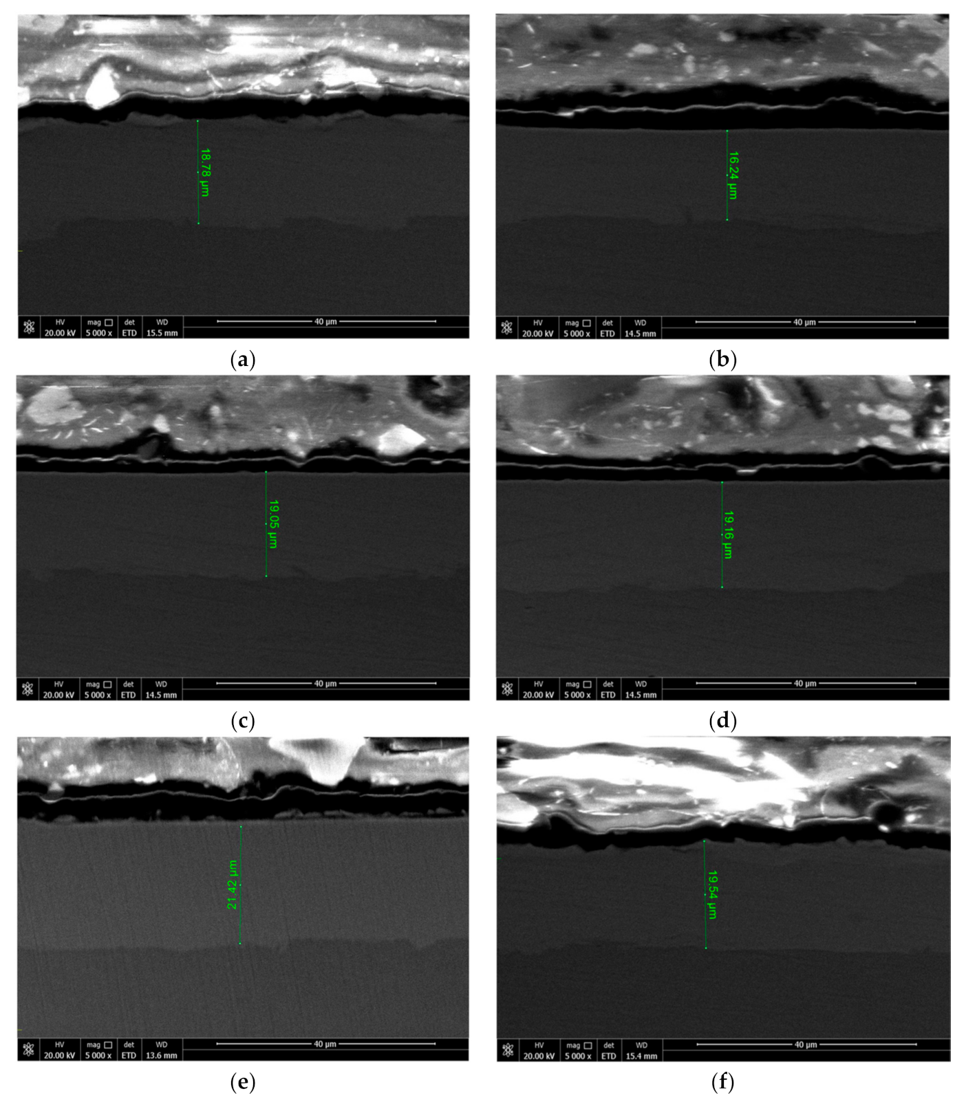 Coatings 11 00527 g005 Coatings 11 00527 g005