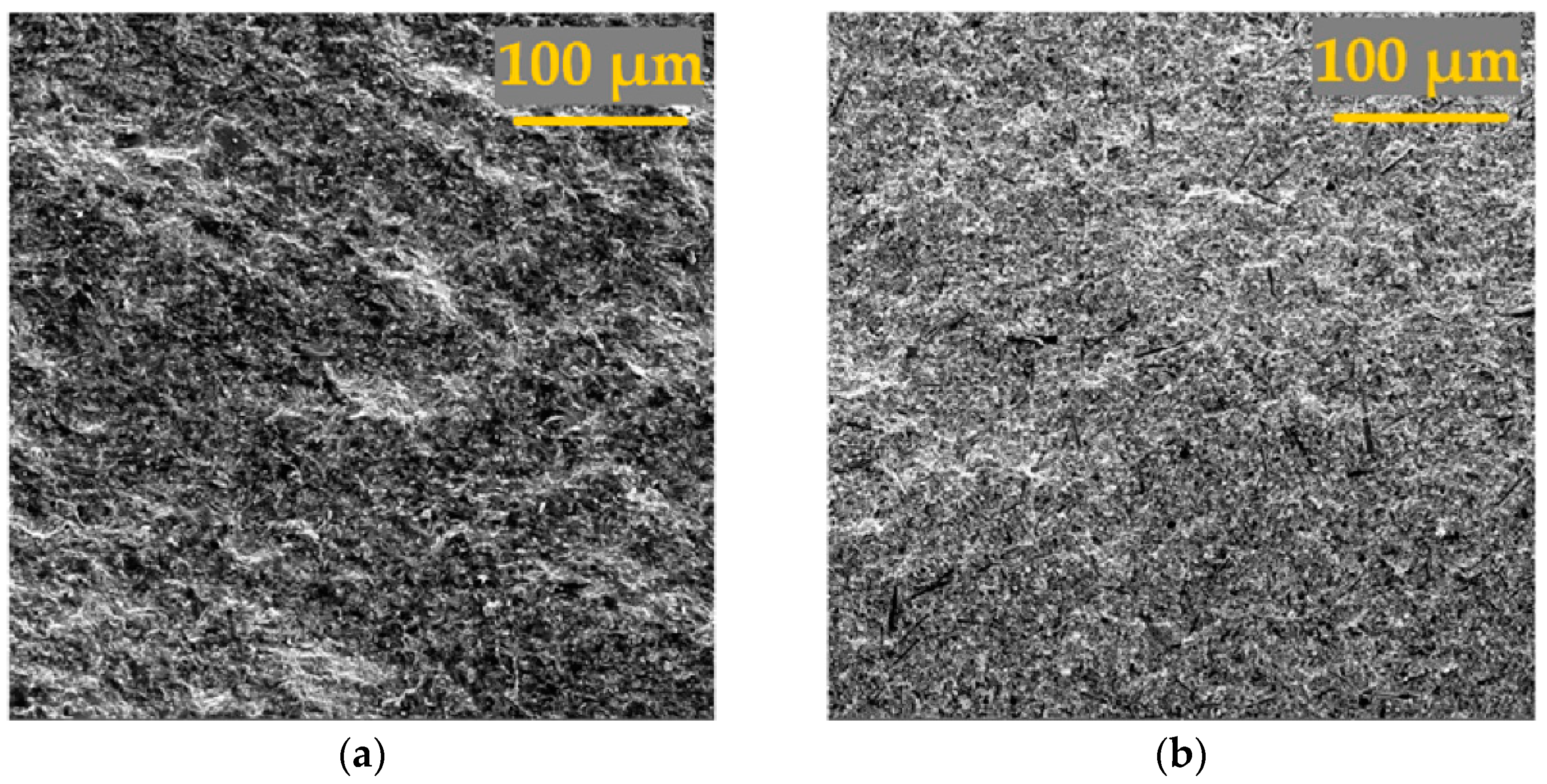 Coatings 11 00532 g010a Coatings 11 00532 g010a