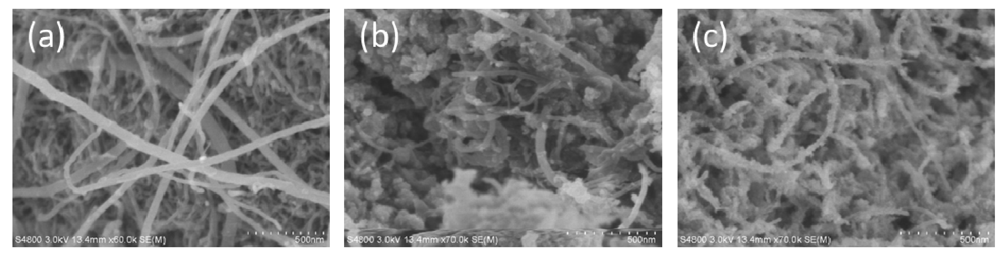 Coatings 11 00534 g003 Coatings 11 00534 g003