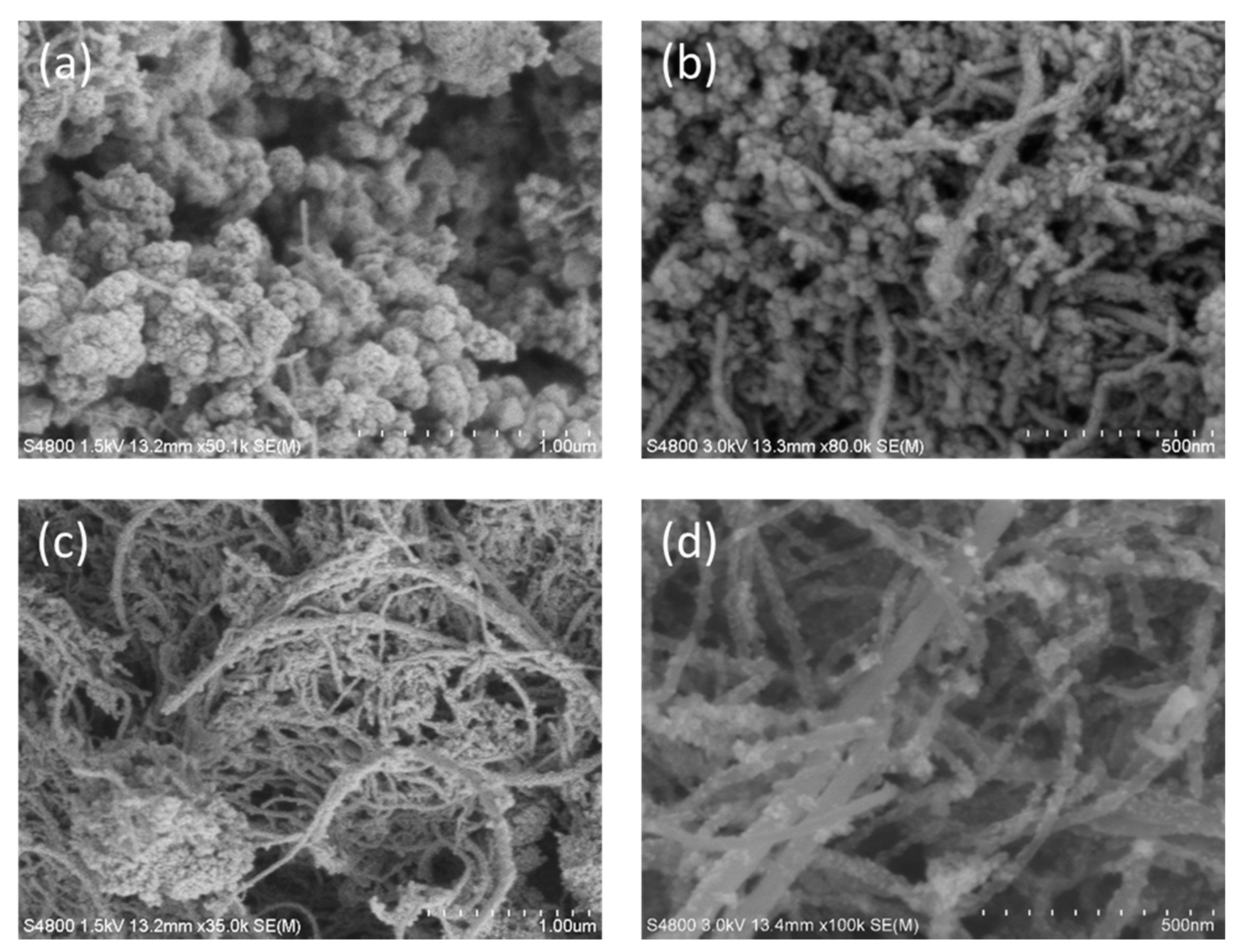 Coatings 11 00534 g004 Coatings 11 00534 g004