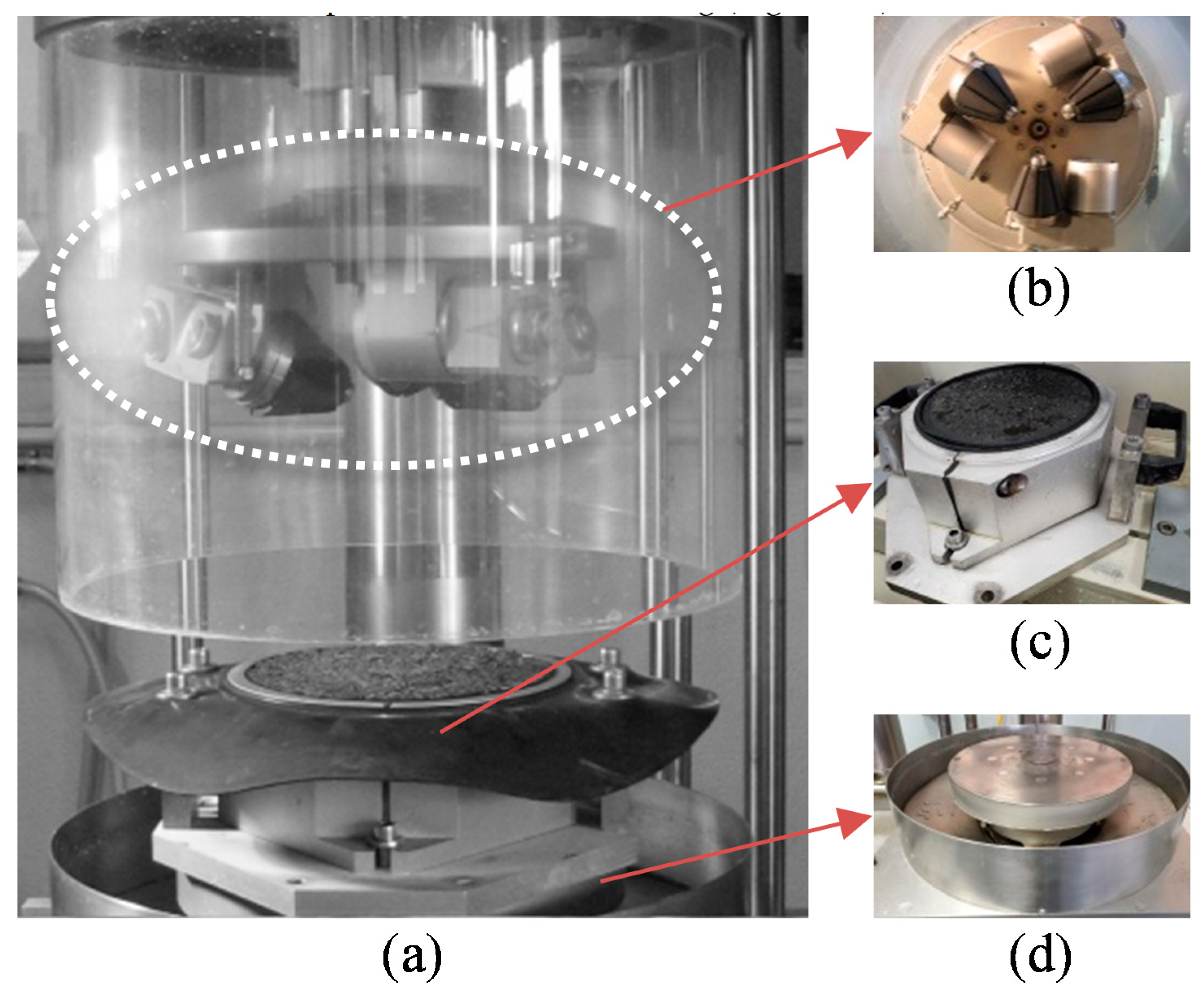 Coatings 11 00538 g003 550