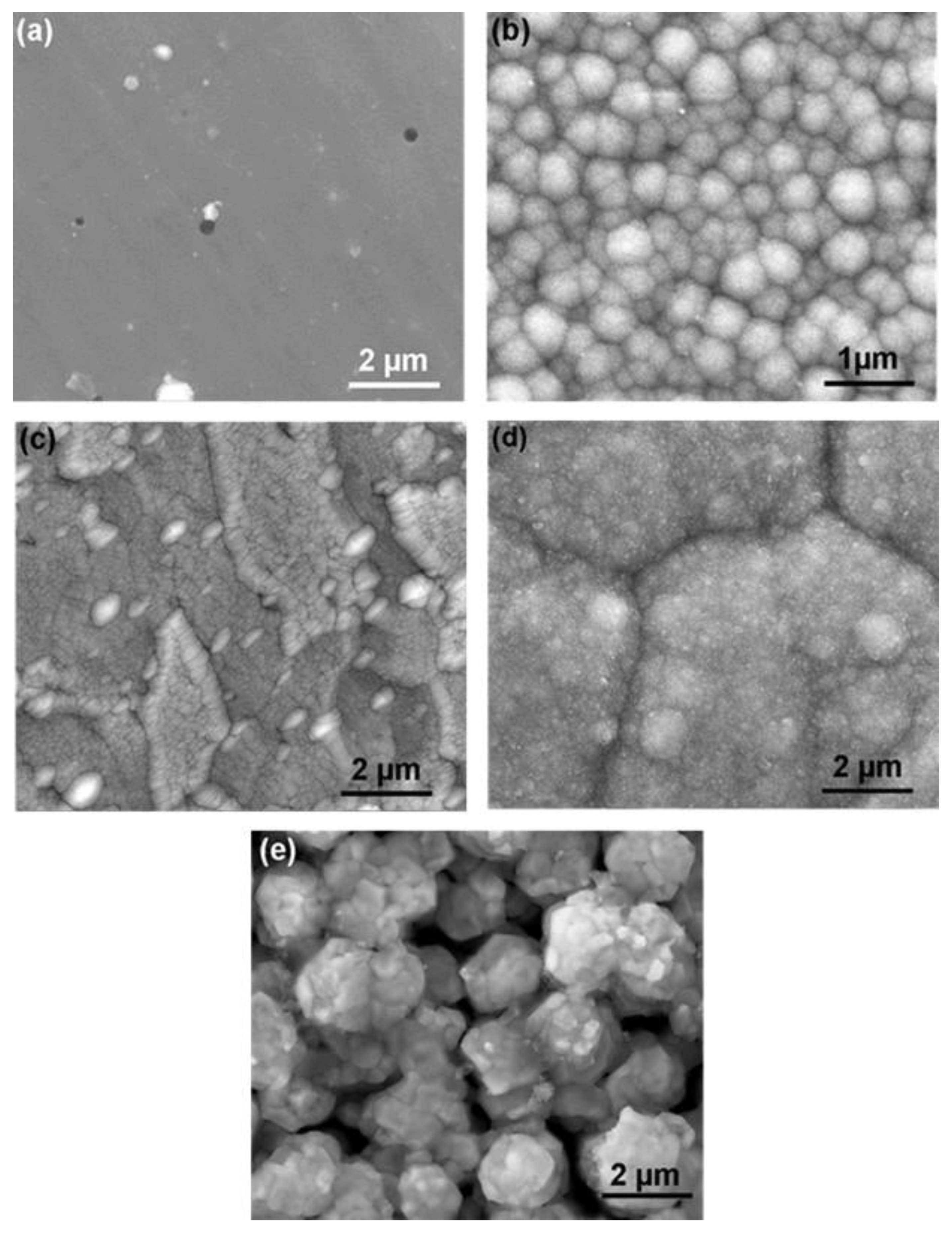 Coatings 11 00539 g004