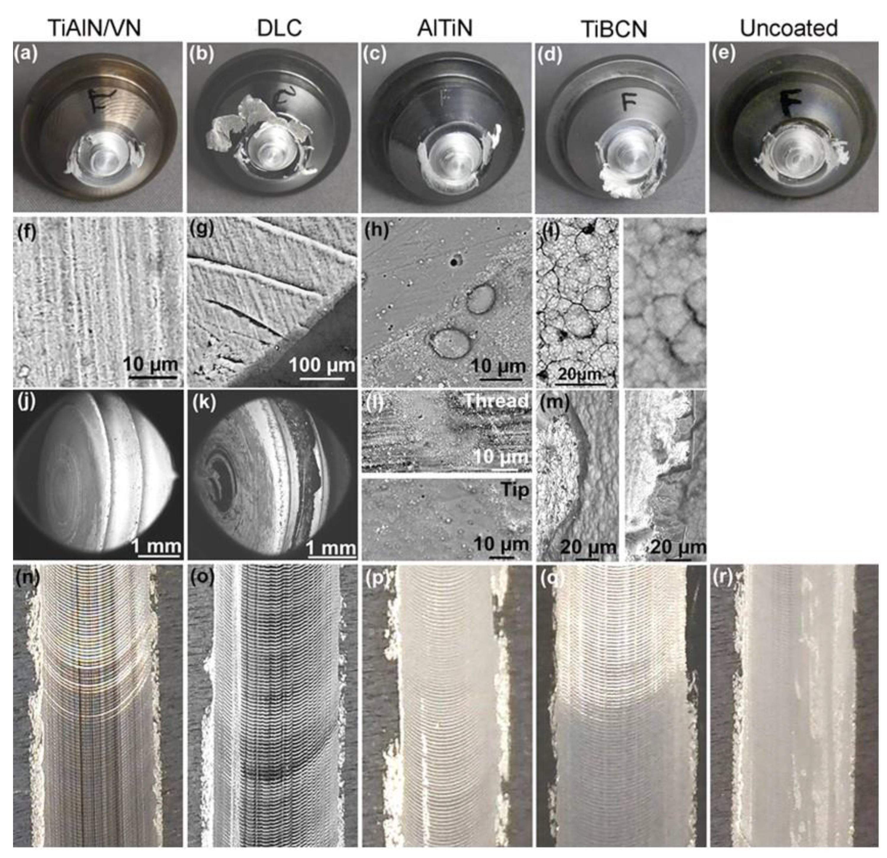 Coatings 11 00539 g013