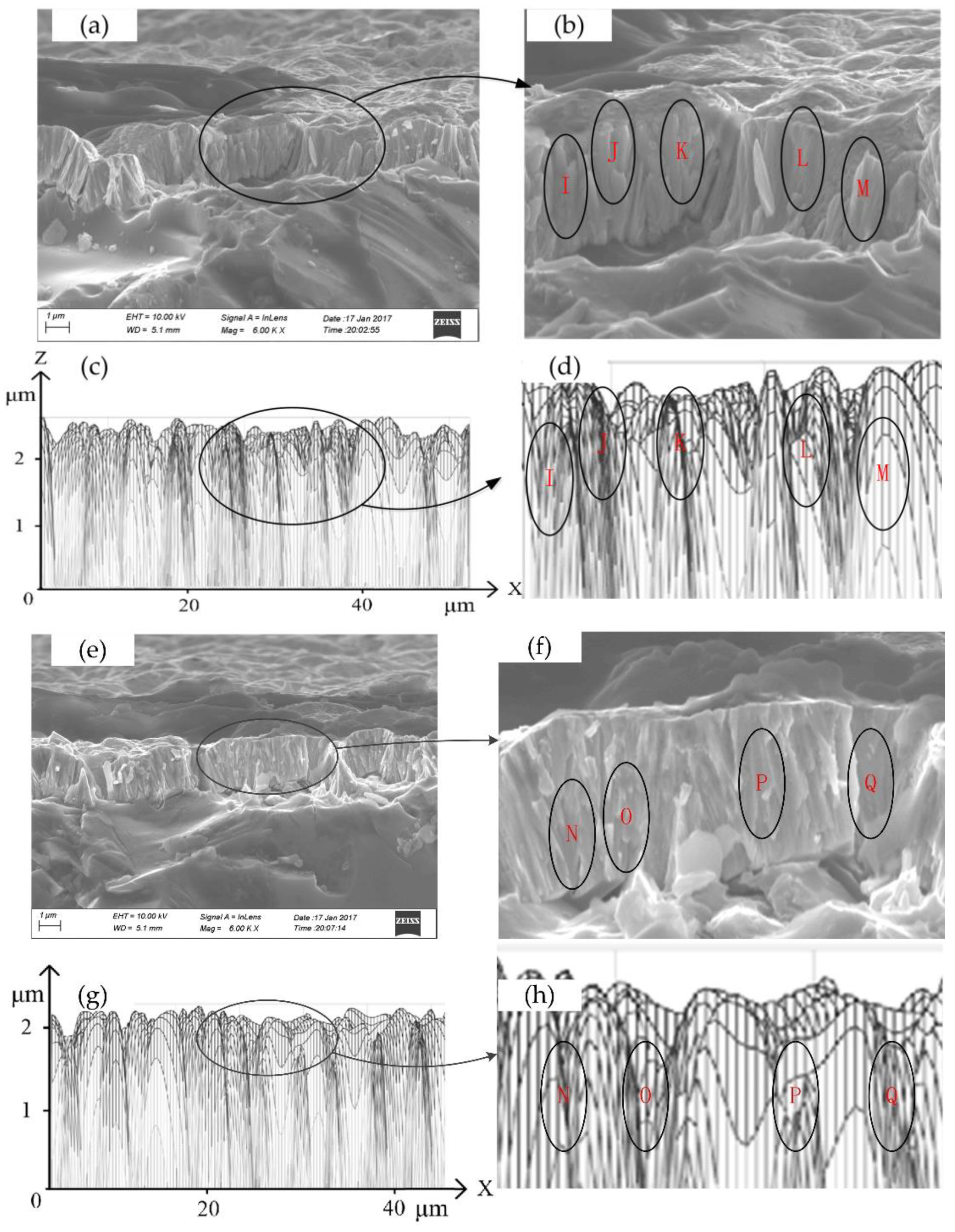 Coatings 11 00540 g010