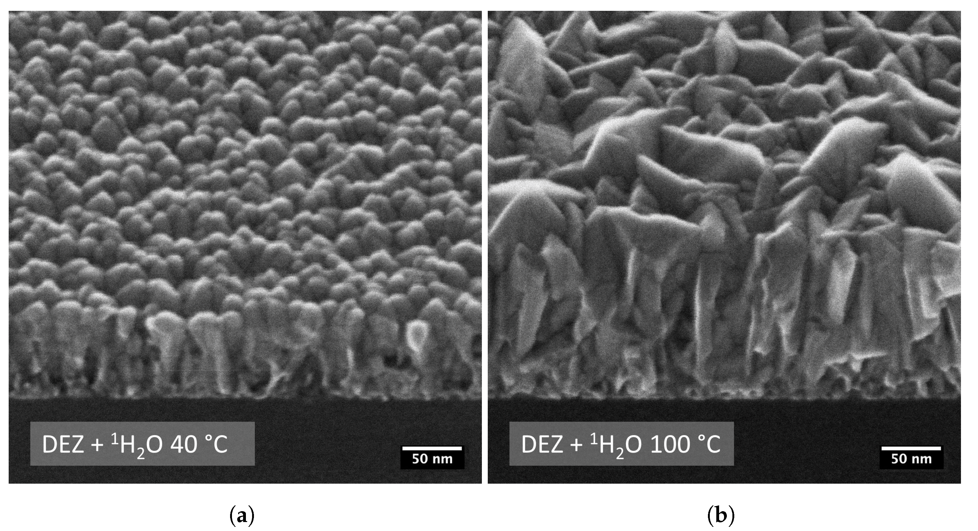 Coatings 11 00542 g004 Coatings 11 00542 g004