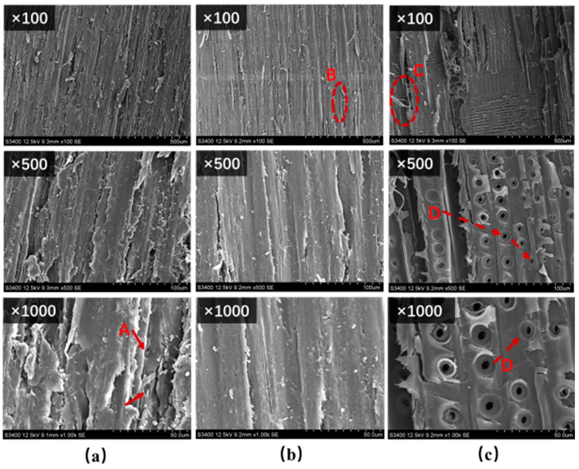 Coatings 11 00543 g007 Coatings 11 00543 g007