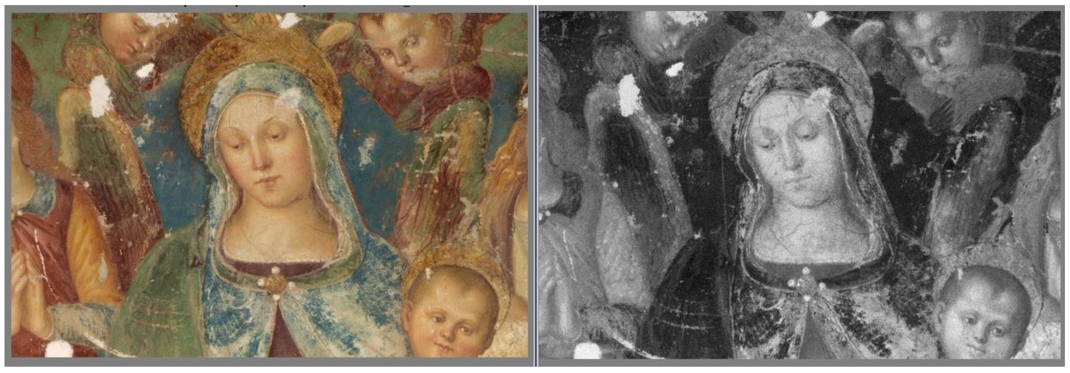 Coatings 11 00546 g006