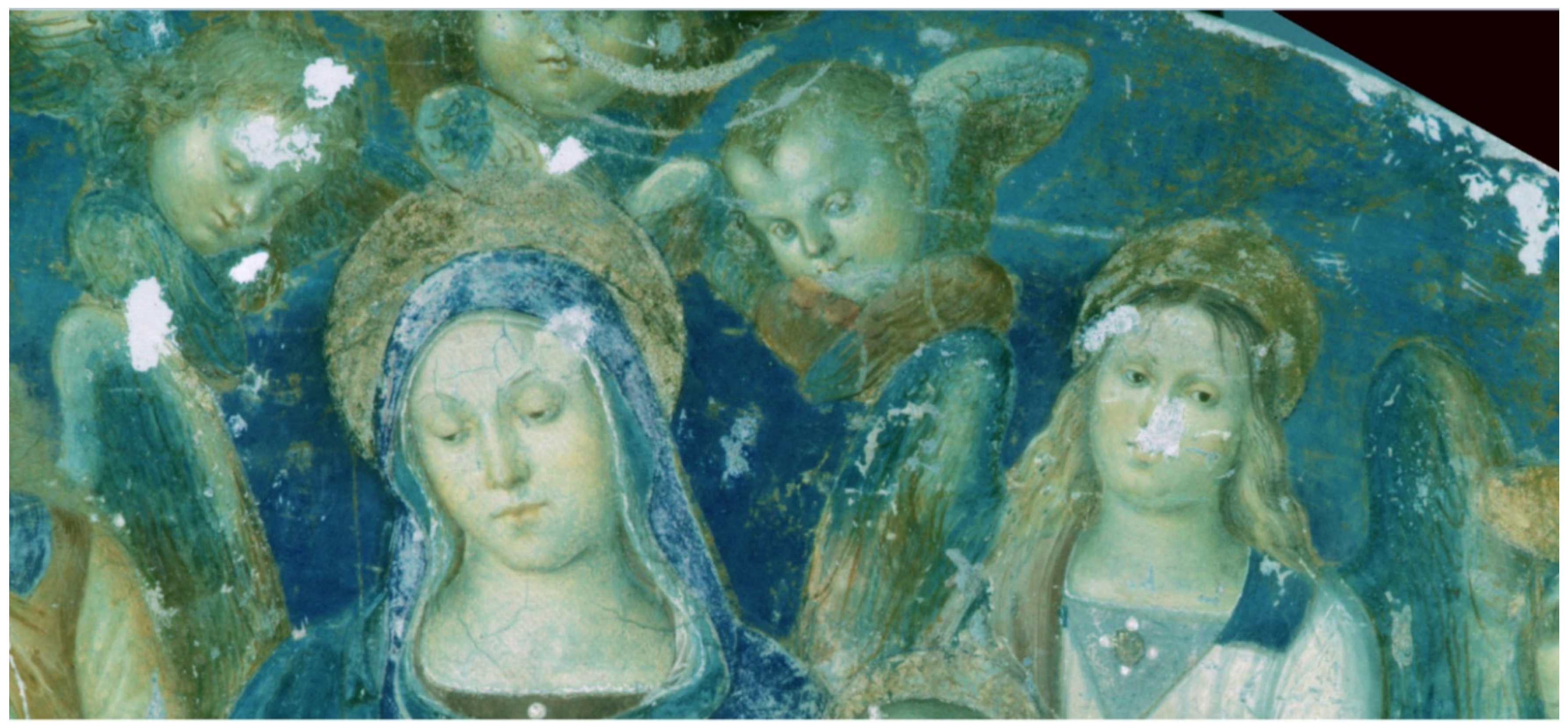 Coatings 11 00546 g009