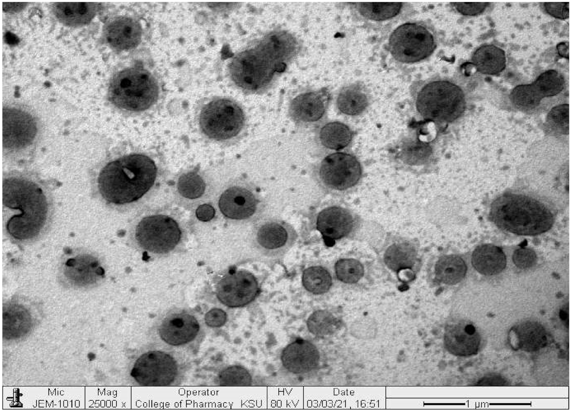 Coatings 11 00548 g005