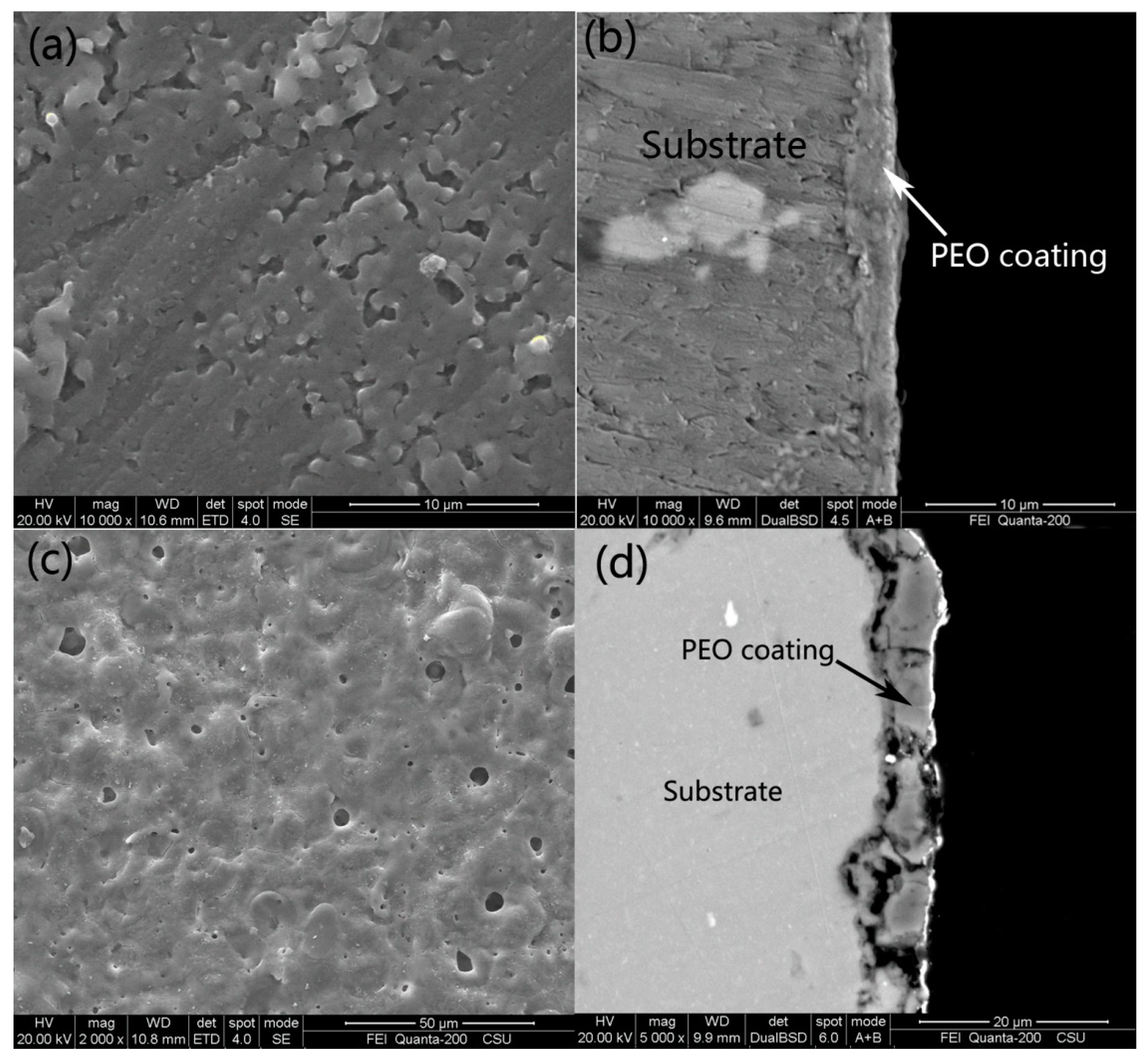Coatings 11 00549 g002