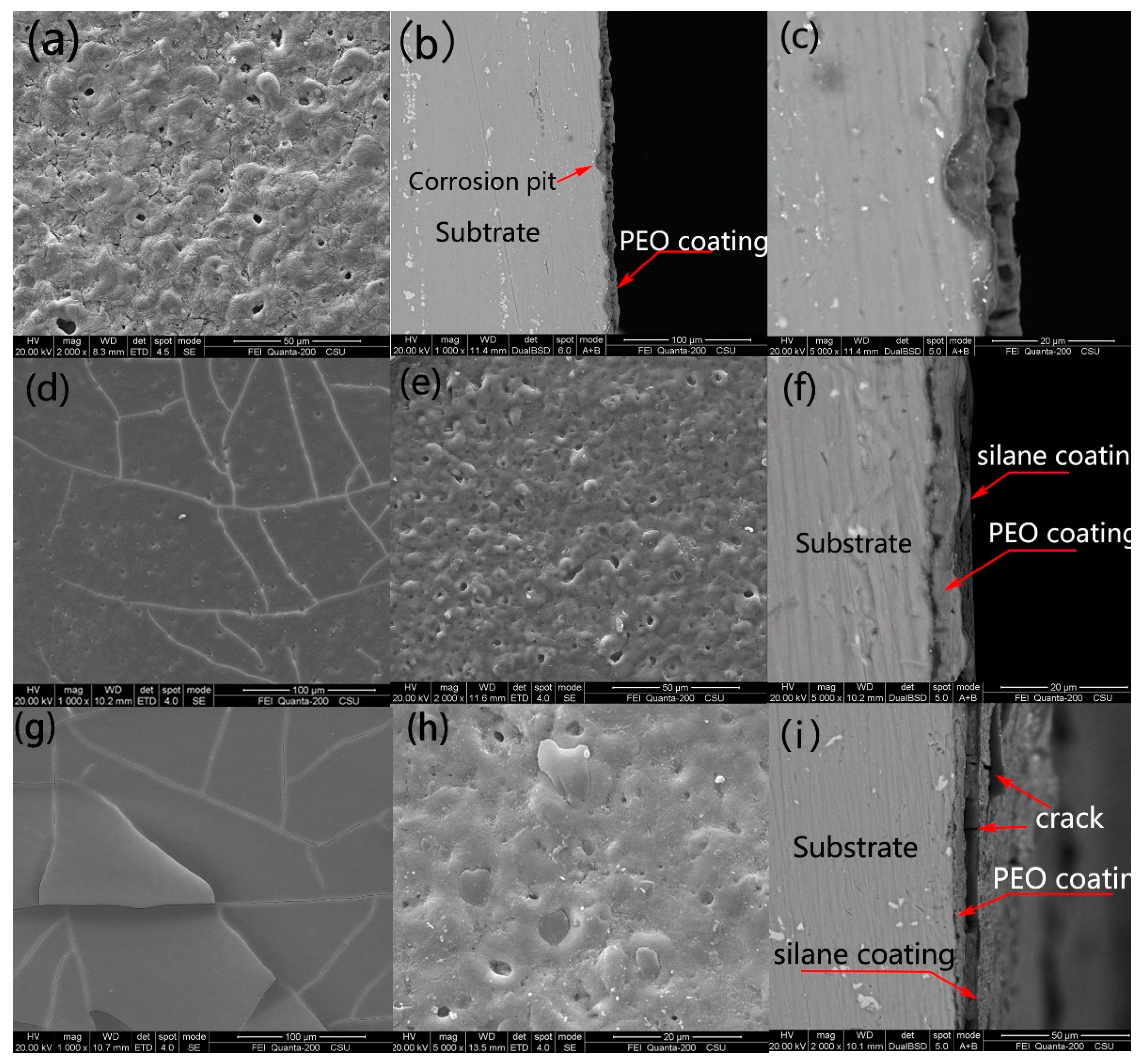 Coatings 11 00549 g010