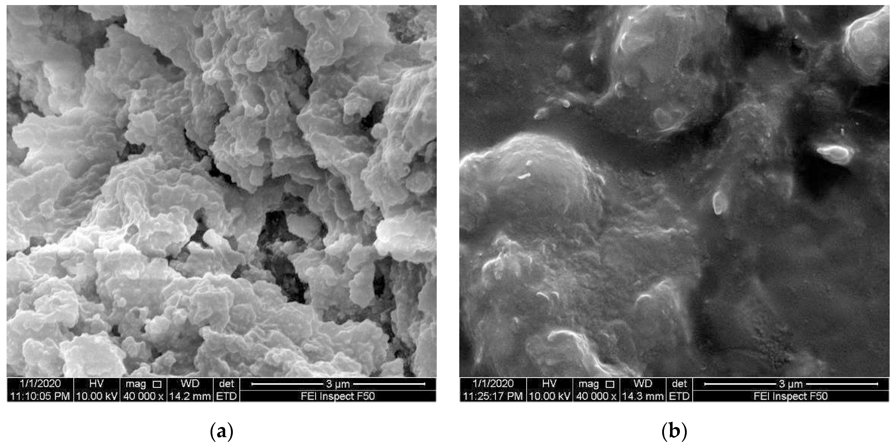 Coatings 11 00550 g005