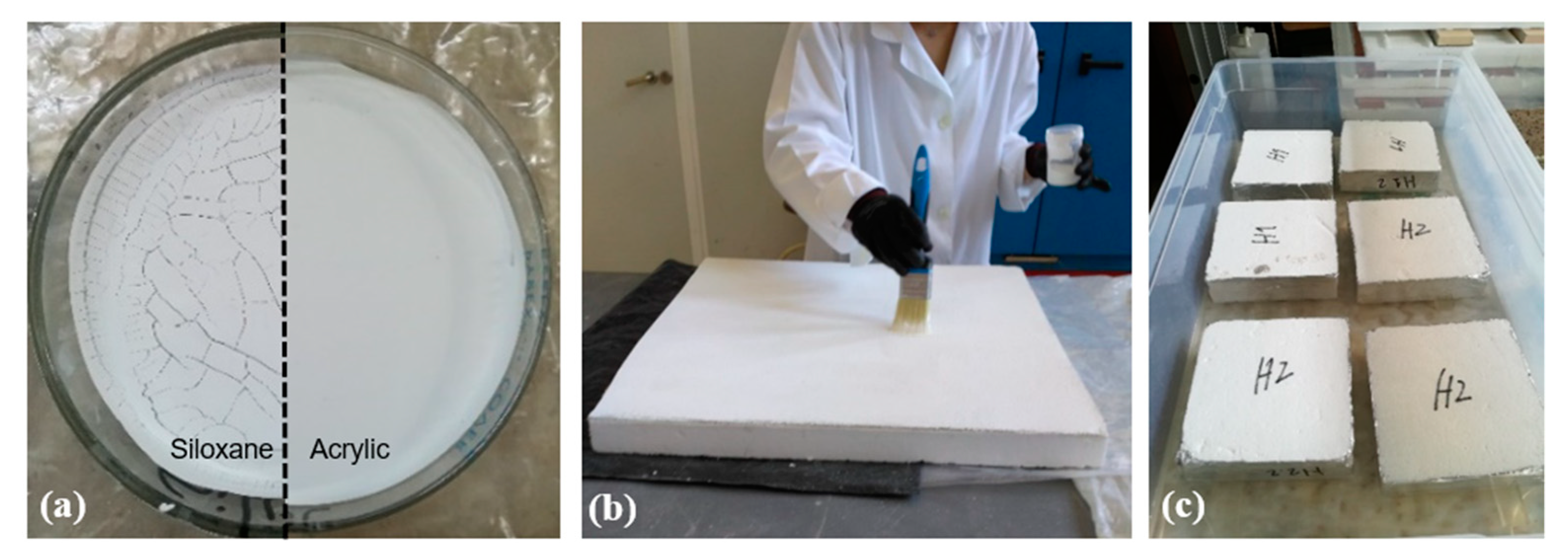 Coatings 11 00554 g001 Coatings 11 00554 g001