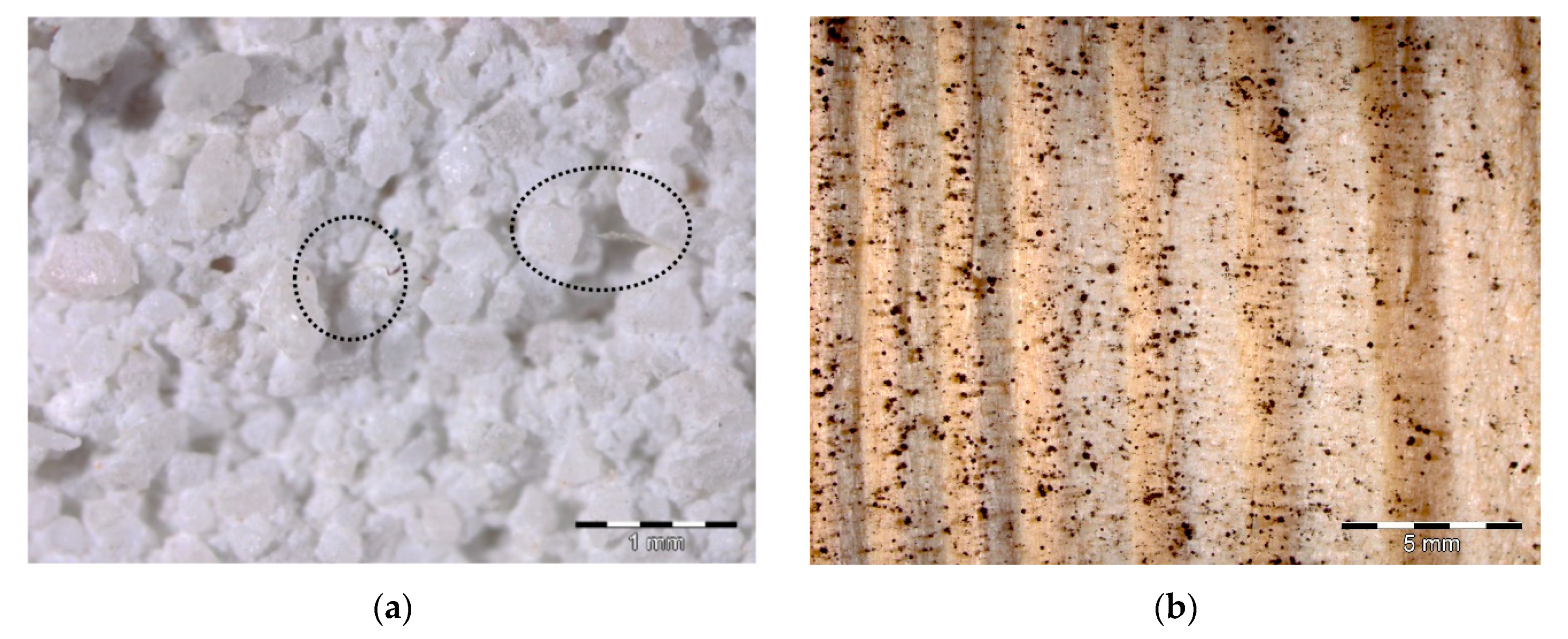 Coatings 11 00554 g006 Coatings 11 00554 g006