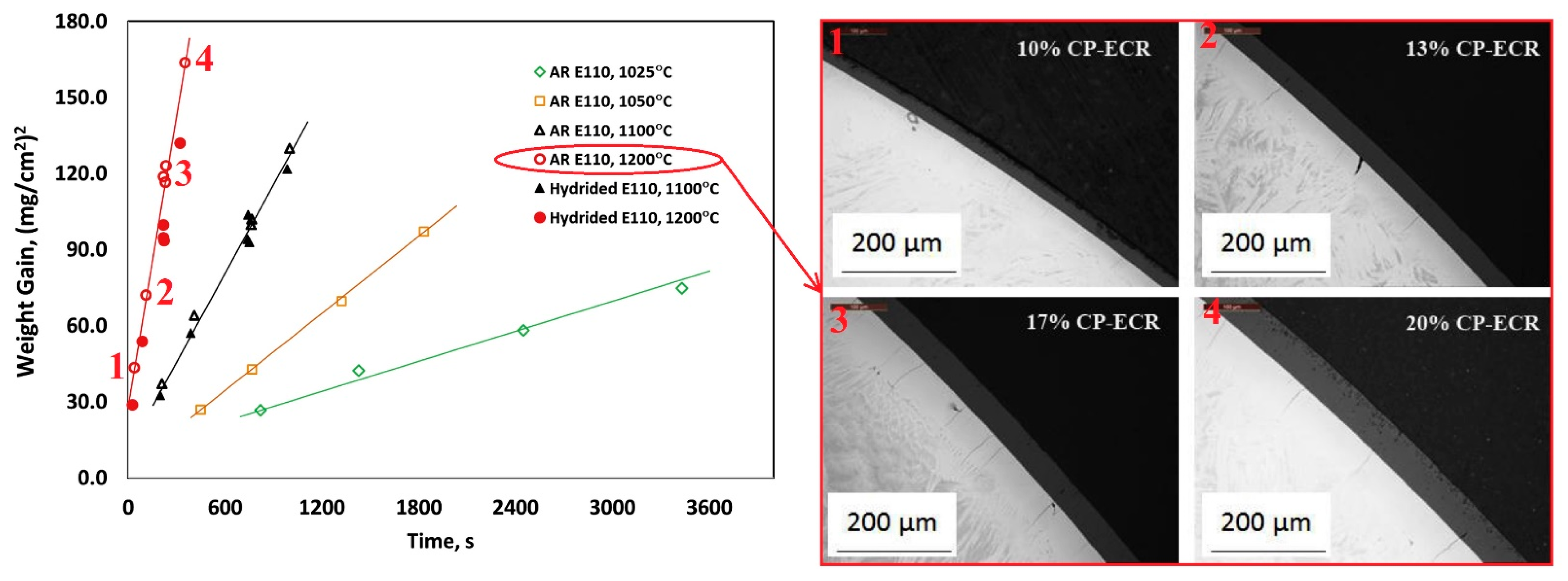 Coatings 11 00557 g001