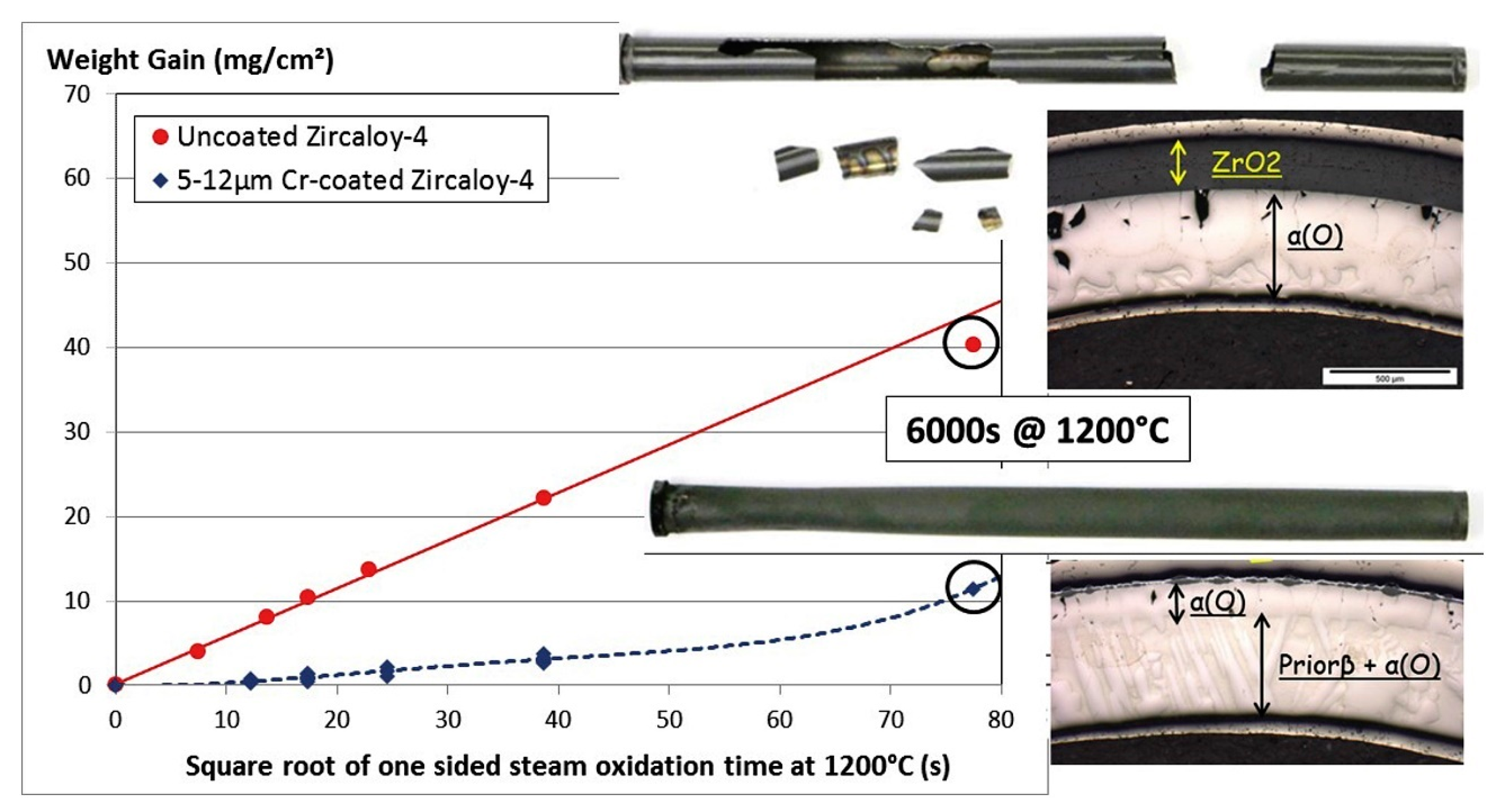 Coatings 11 00557 g004
