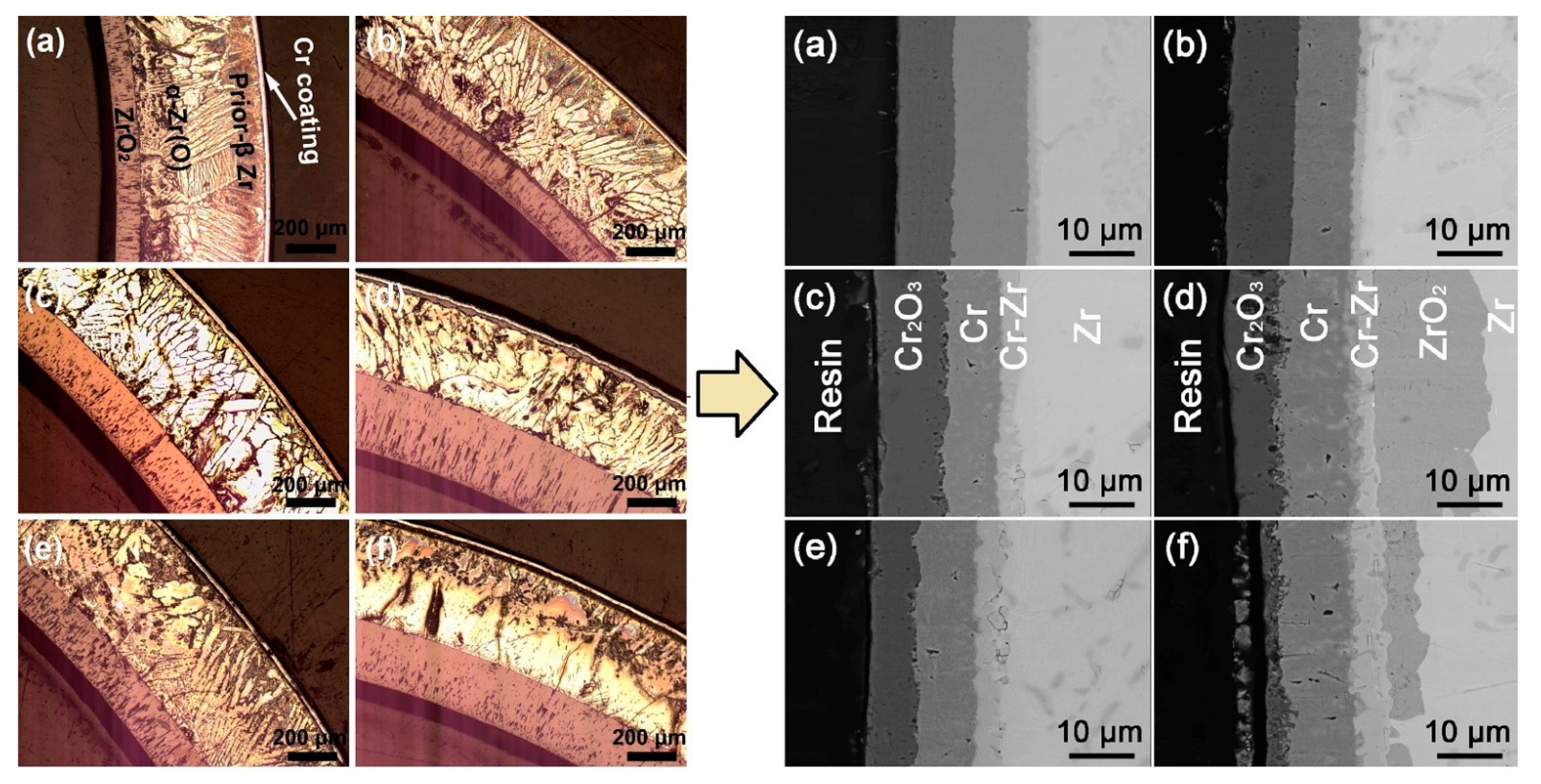 Coatings 11 00557 g005