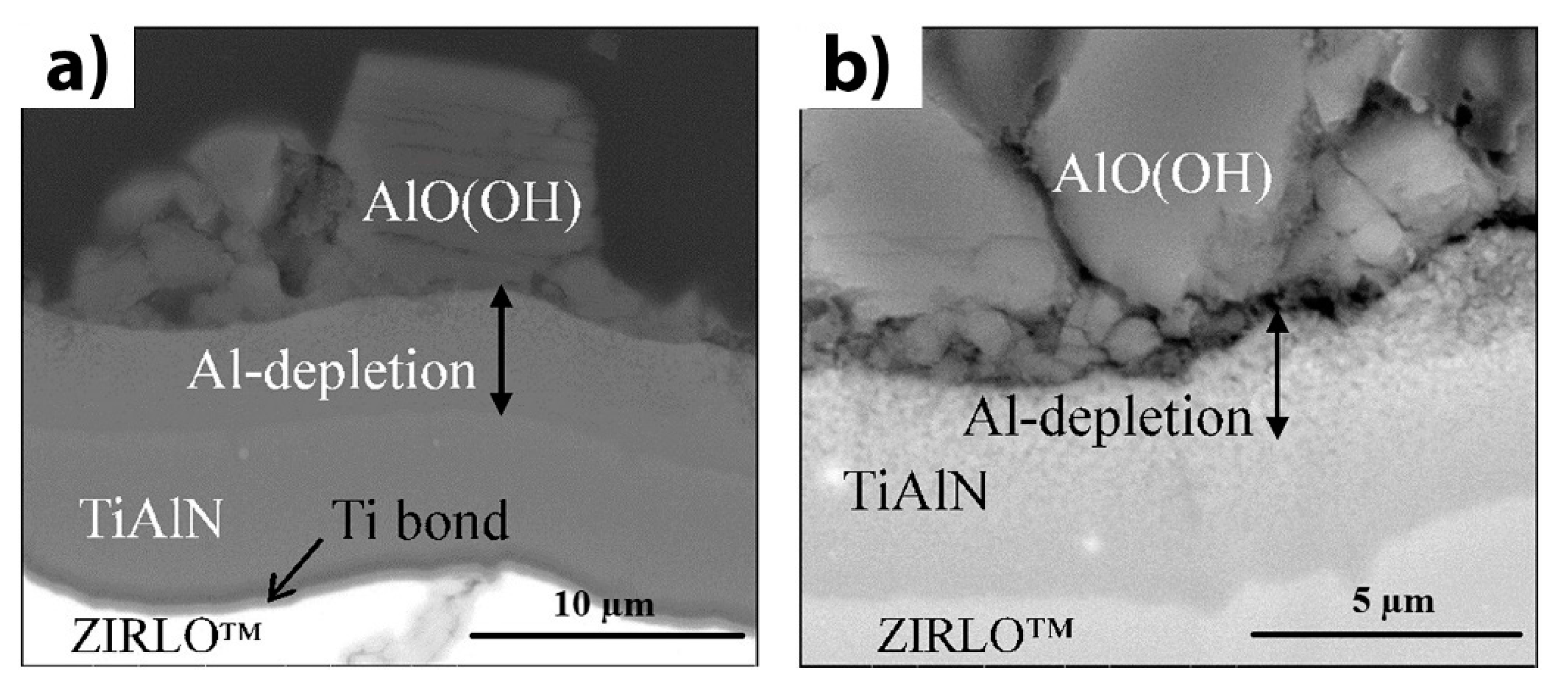 Coatings 11 00557 g007