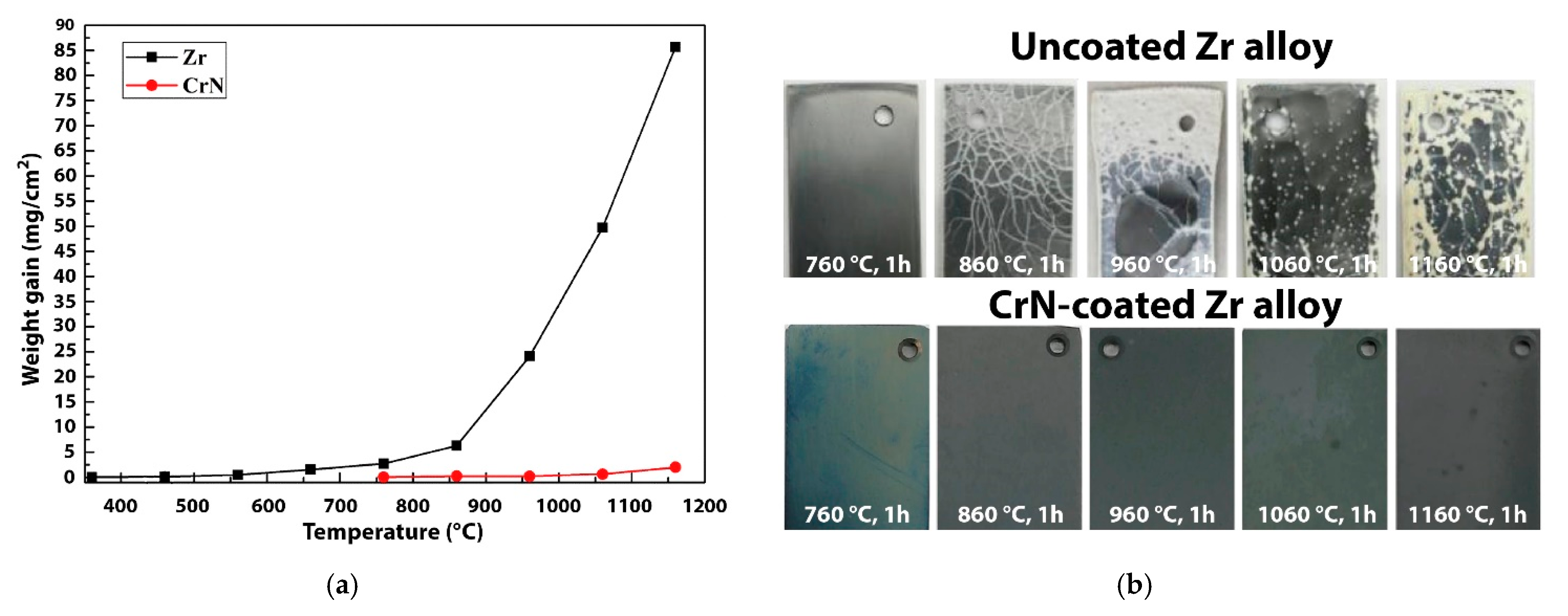 Coatings 11 00557 g008