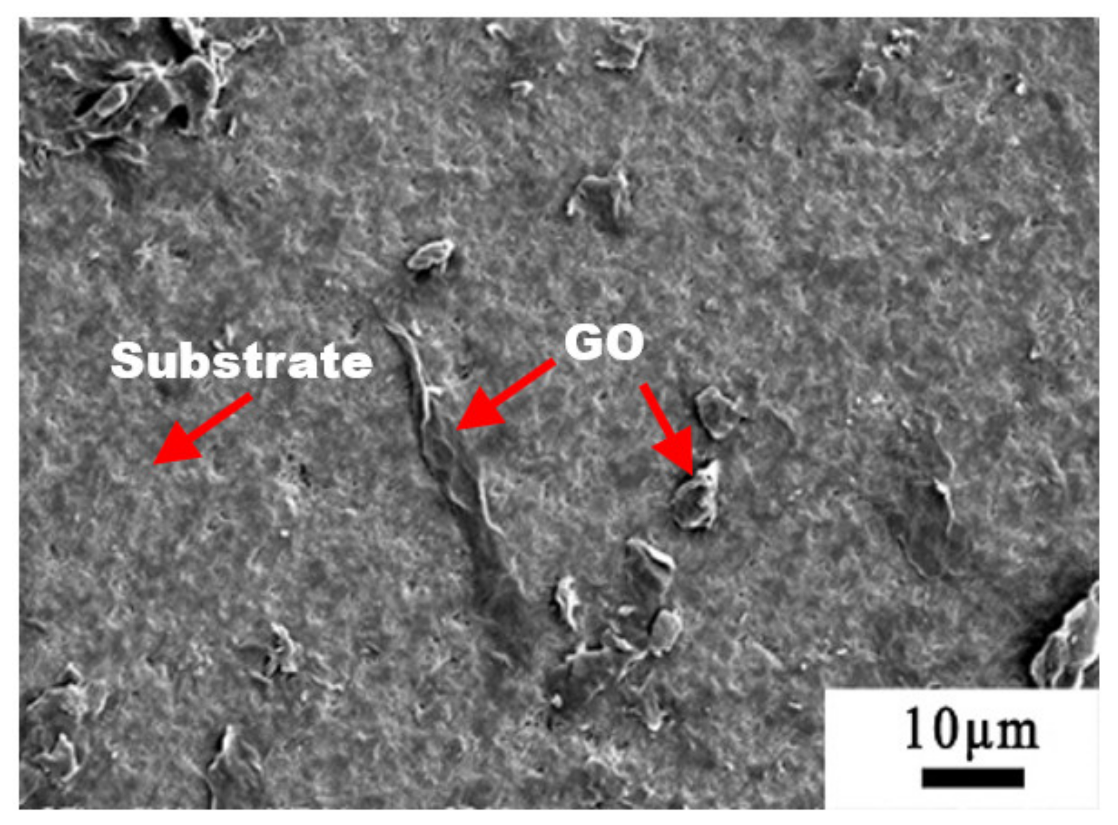 Coatings 11 00559 g002 Coatings 11 00559 g002