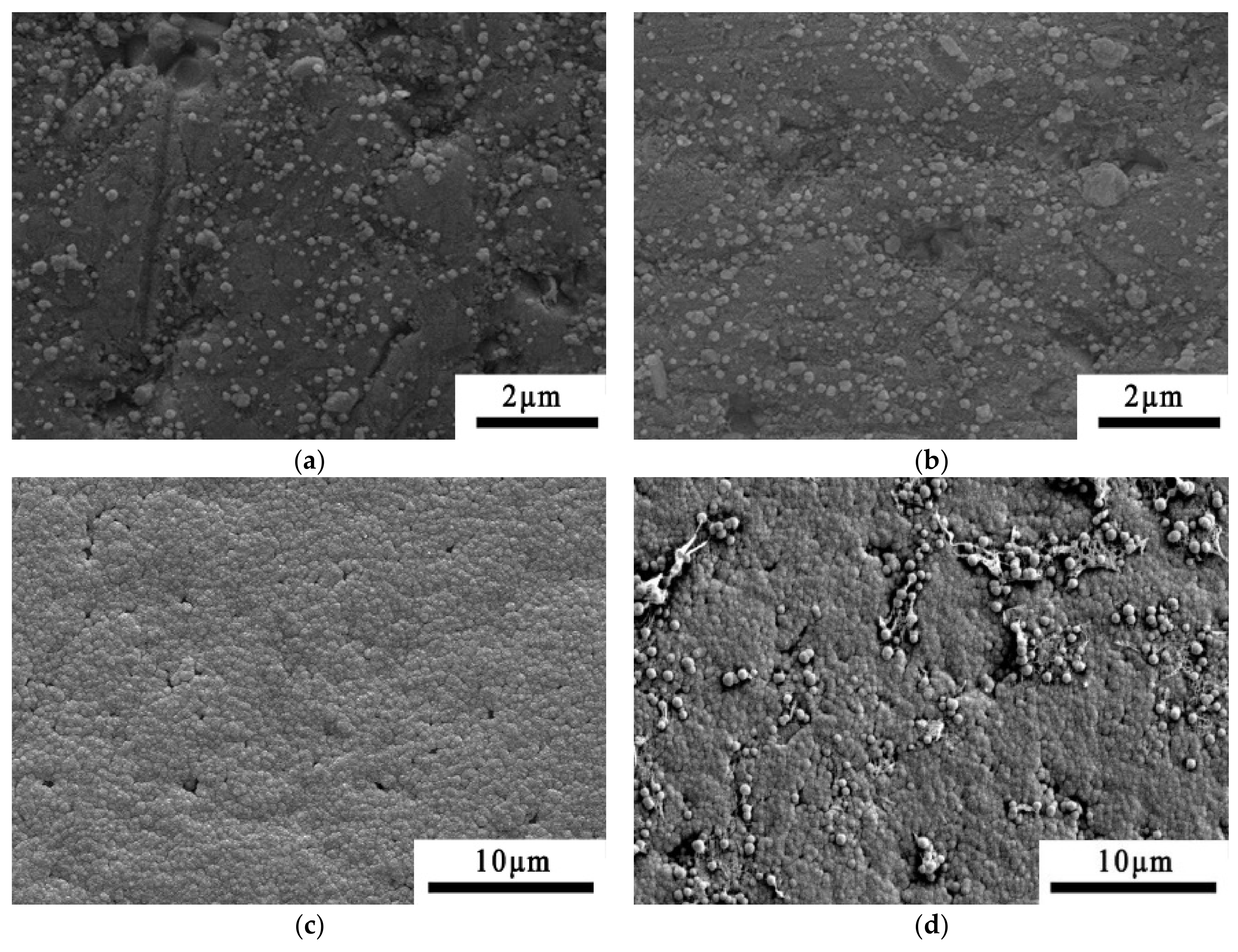 Coatings 11 00559 g003a Coatings 11 00559 g003a