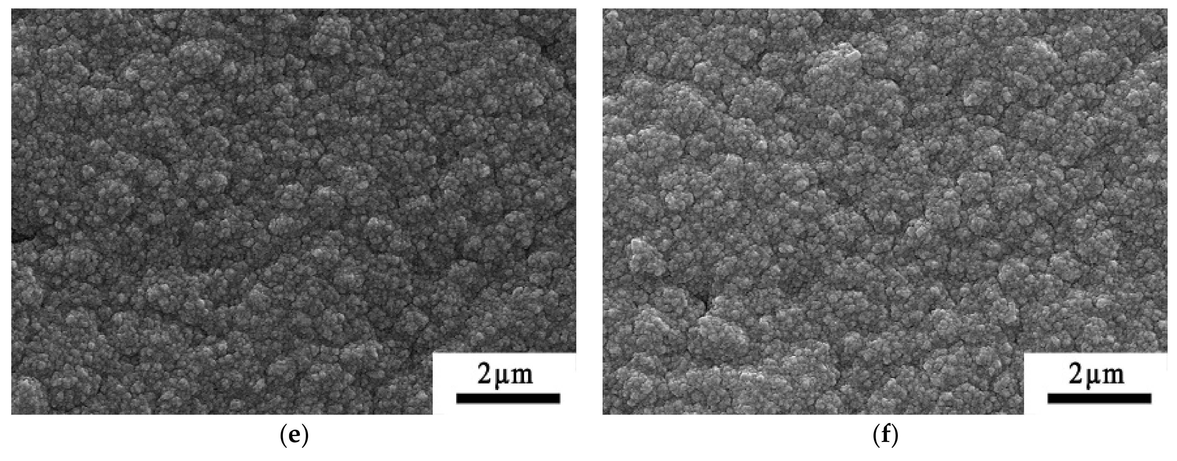 Coatings 11 00559 g003b Coatings 11 00559 g003b
