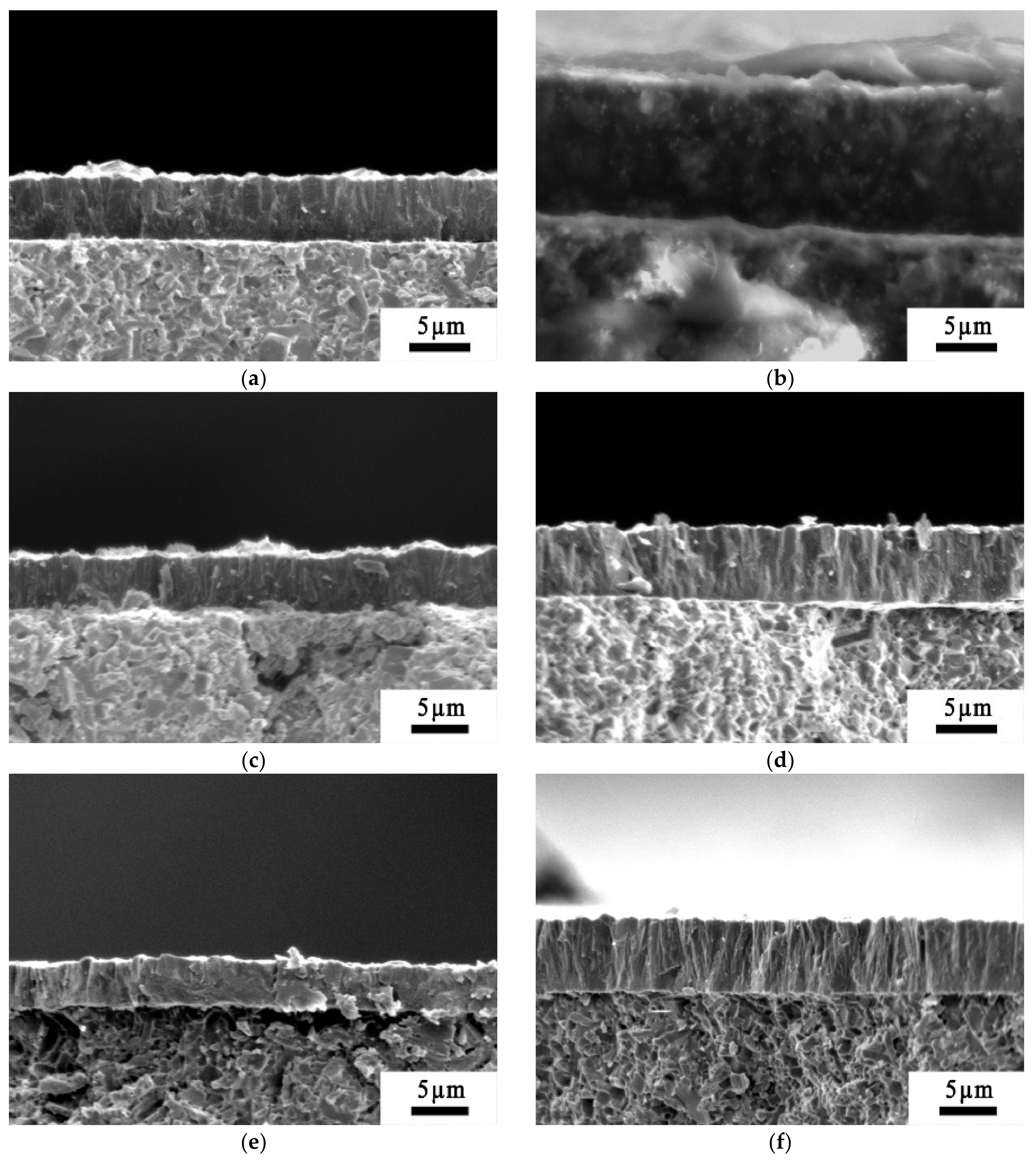 Coatings 11 00559 g005 Coatings 11 00559 g005