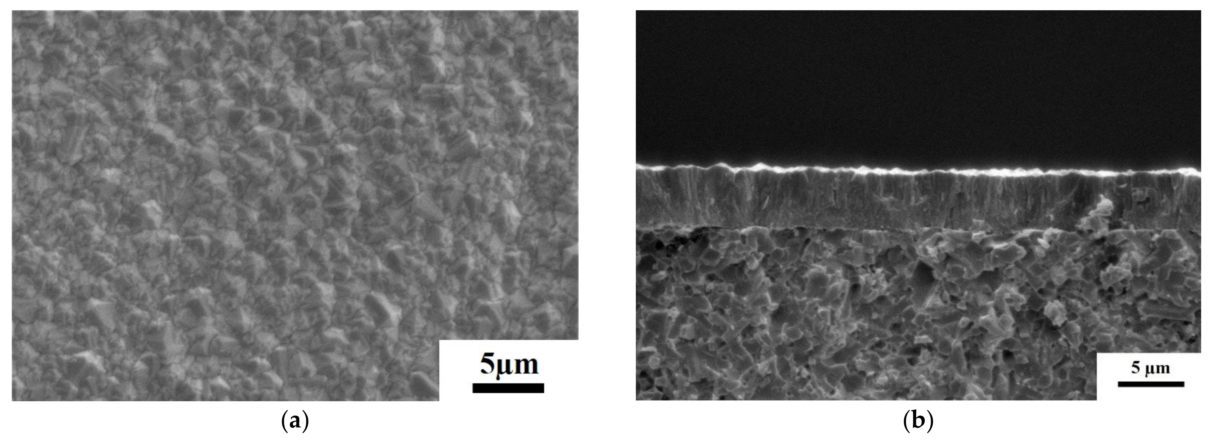 Coatings 11 00559 g009 Coatings 11 00559 g009
