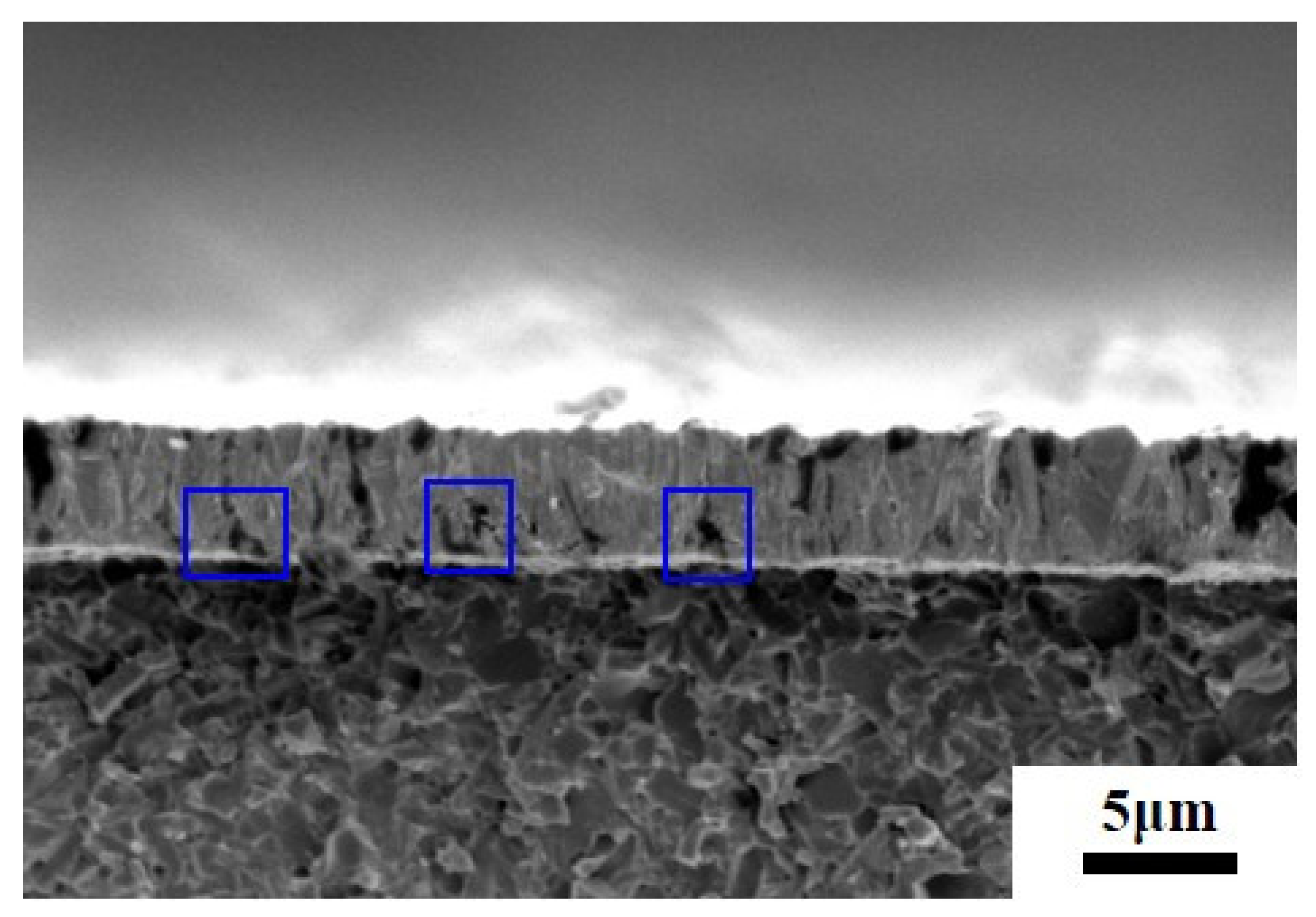 Coatings 11 00559 g011 Coatings 11 00559 g011