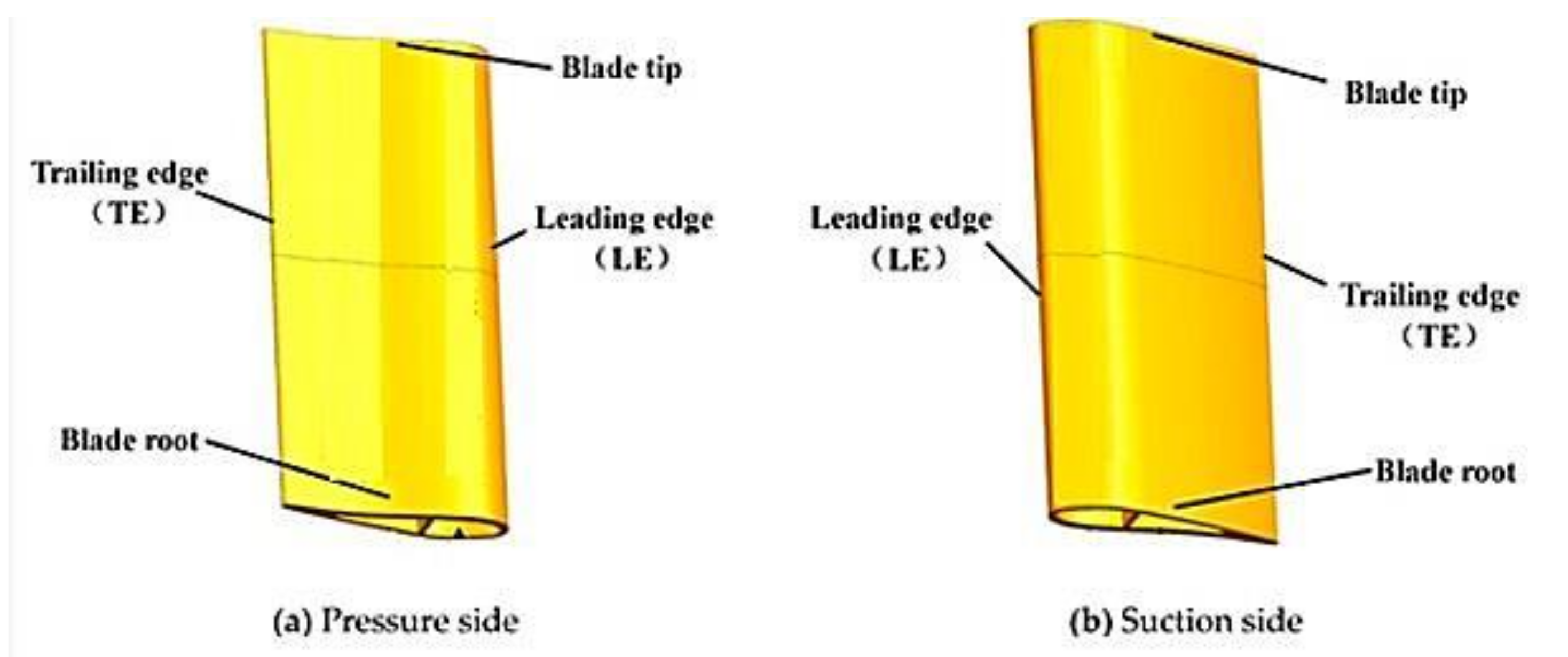 Coatings 11 00560 g001