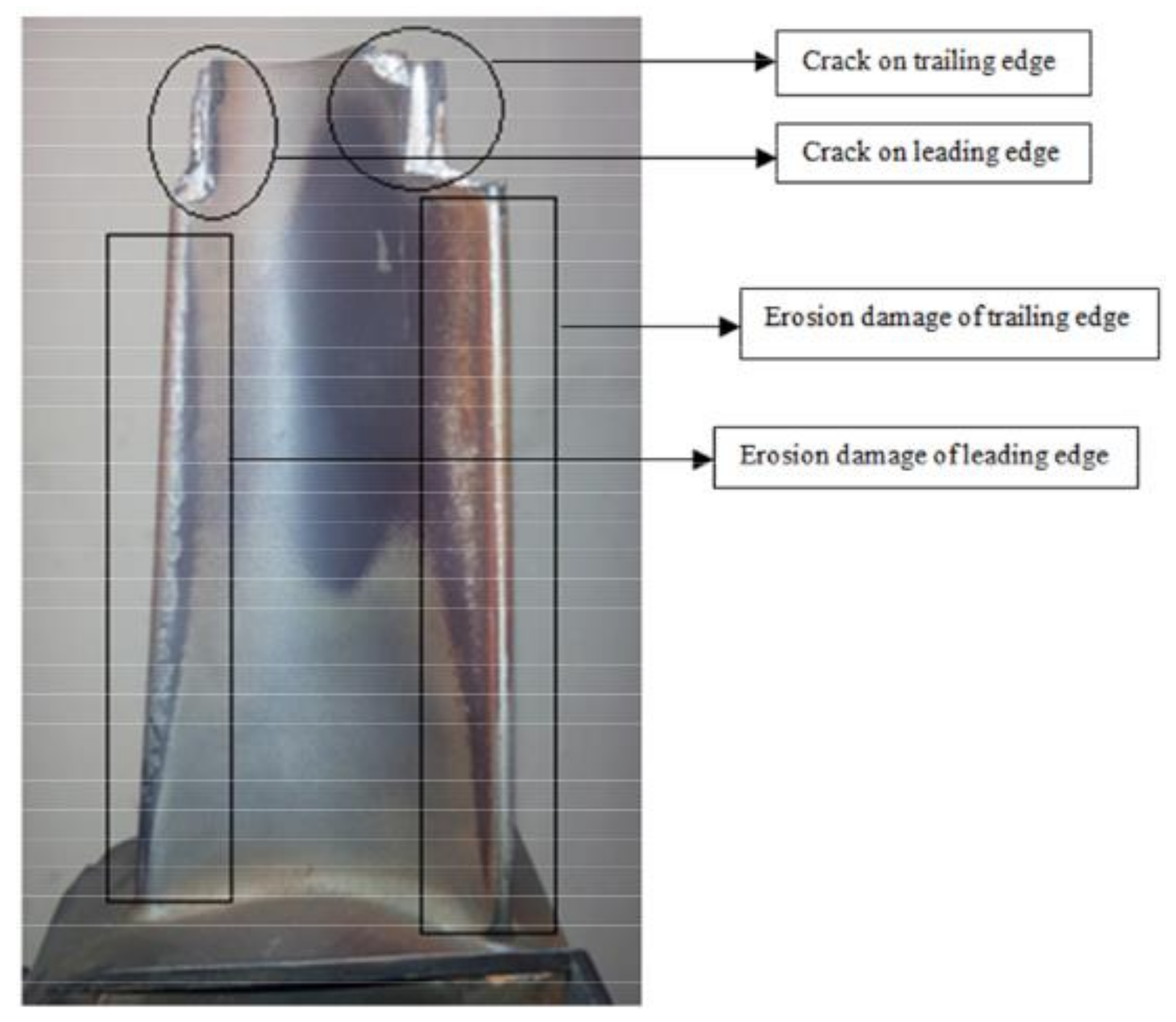 Coatings 11 00560 g004