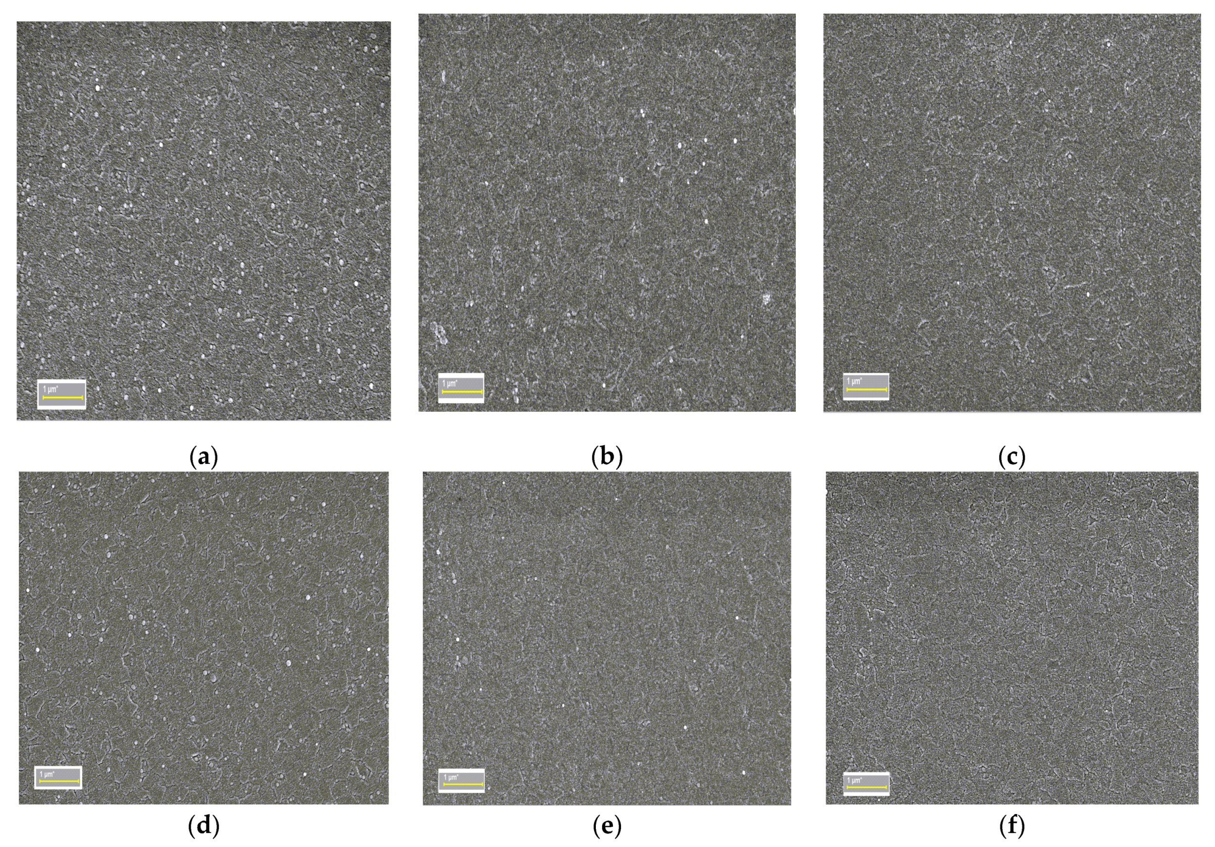 Coatings 11 00561 g002 Coatings 11 00561 g002