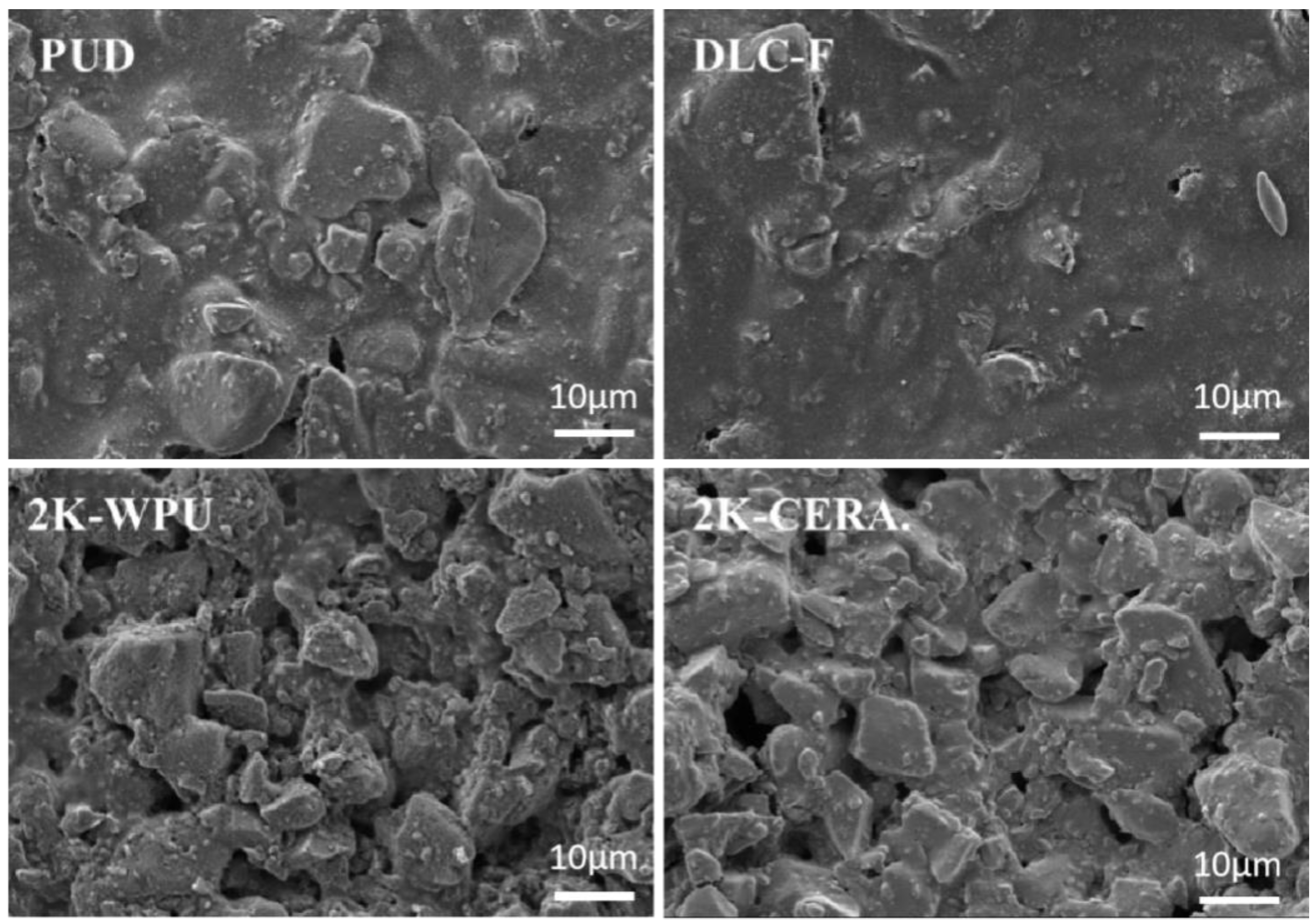 Coatings 11 00563 g005 Coatings 11 00563 g005