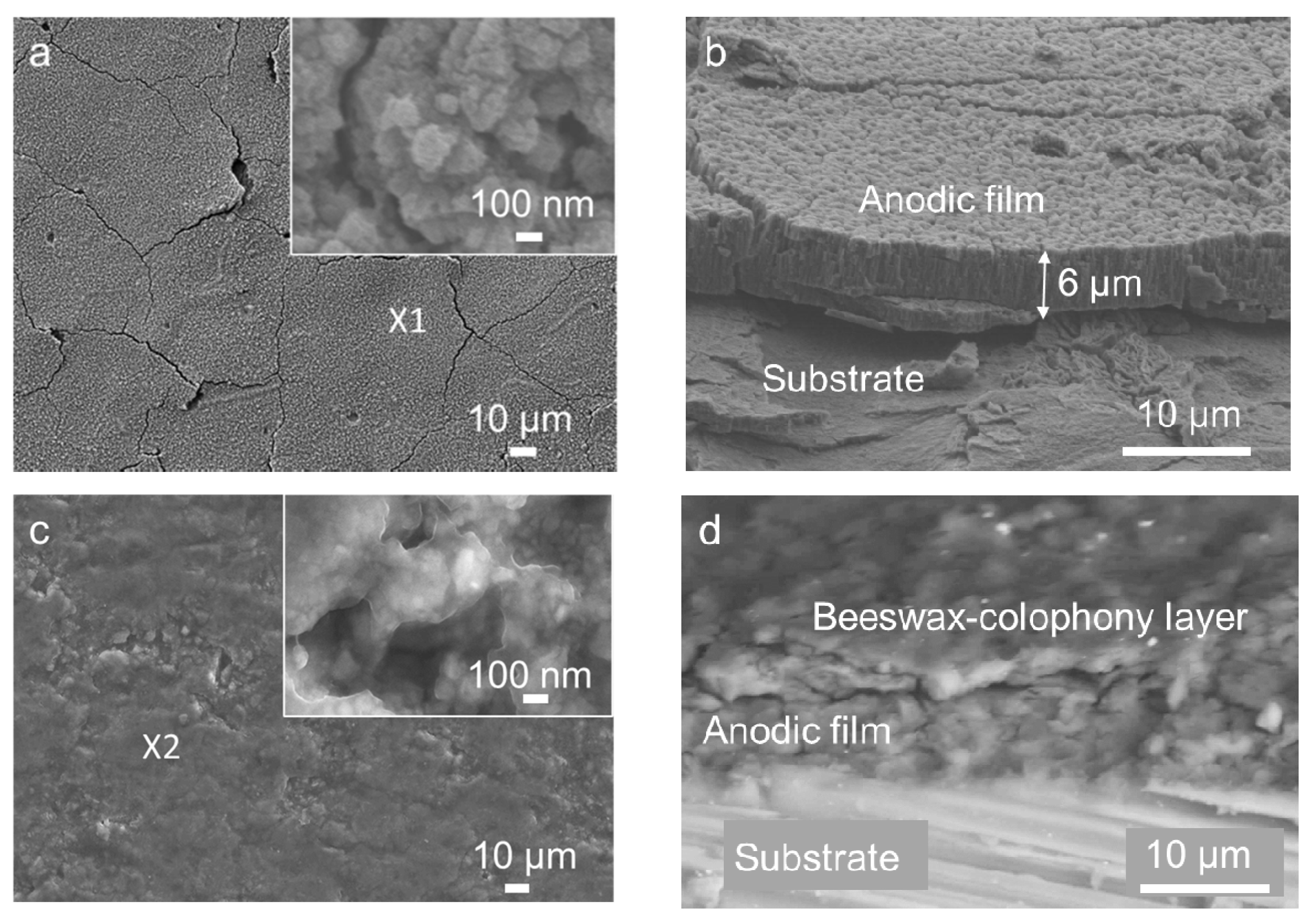 Coatings 11 00564 g001a Coatings 11 00564 g001a