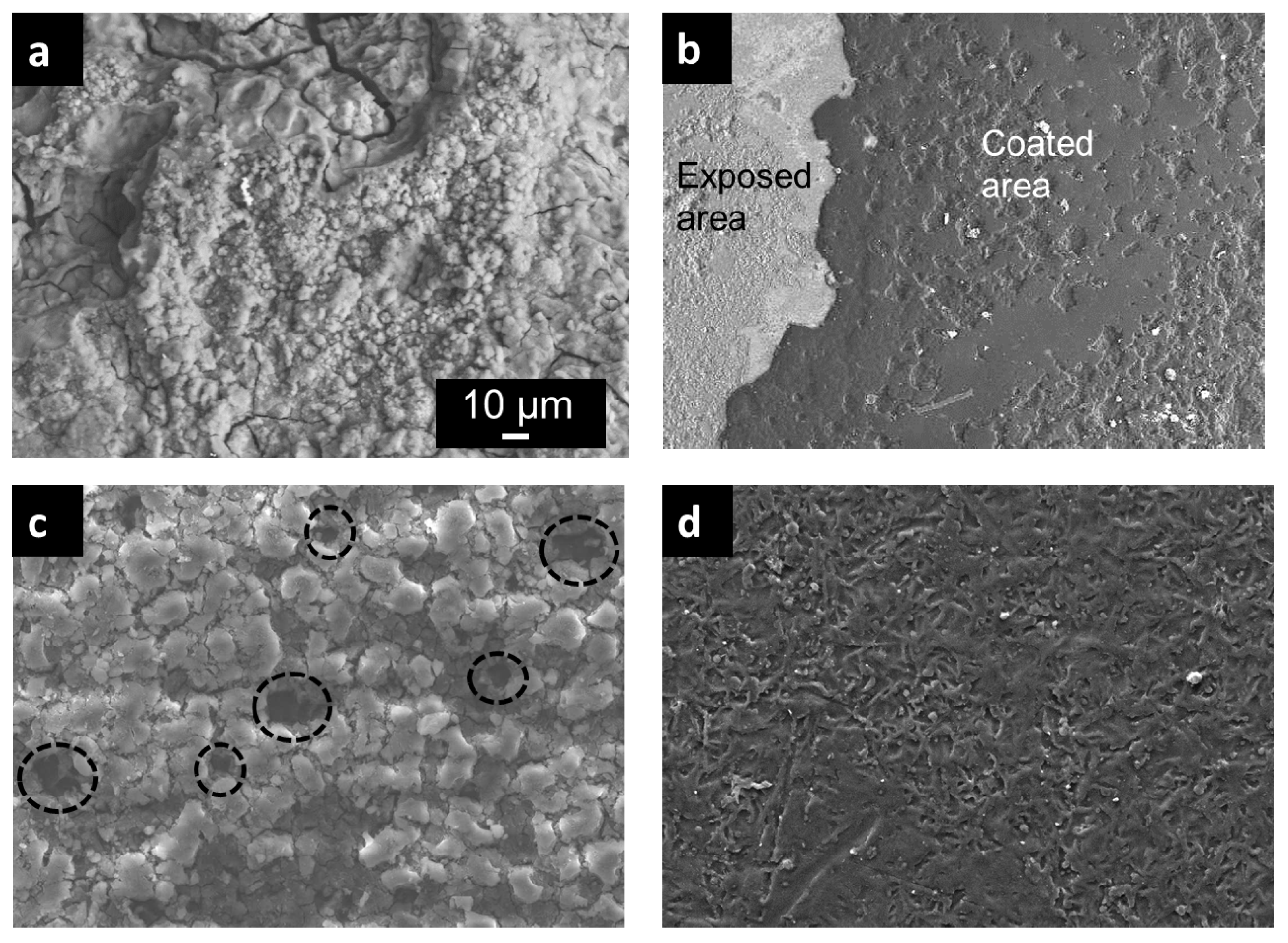 Coatings 11 00564 g003 Coatings 11 00564 g003