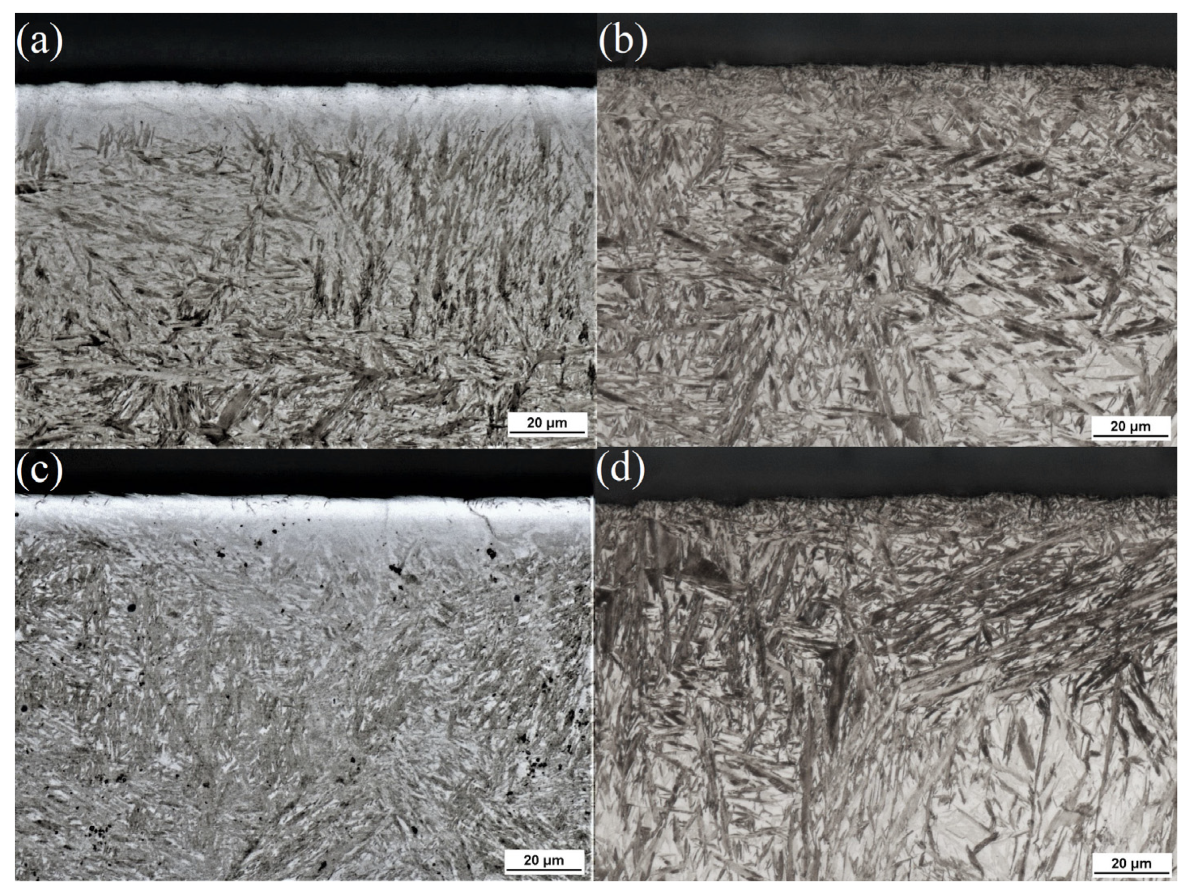 Coatings 11 00567 g001