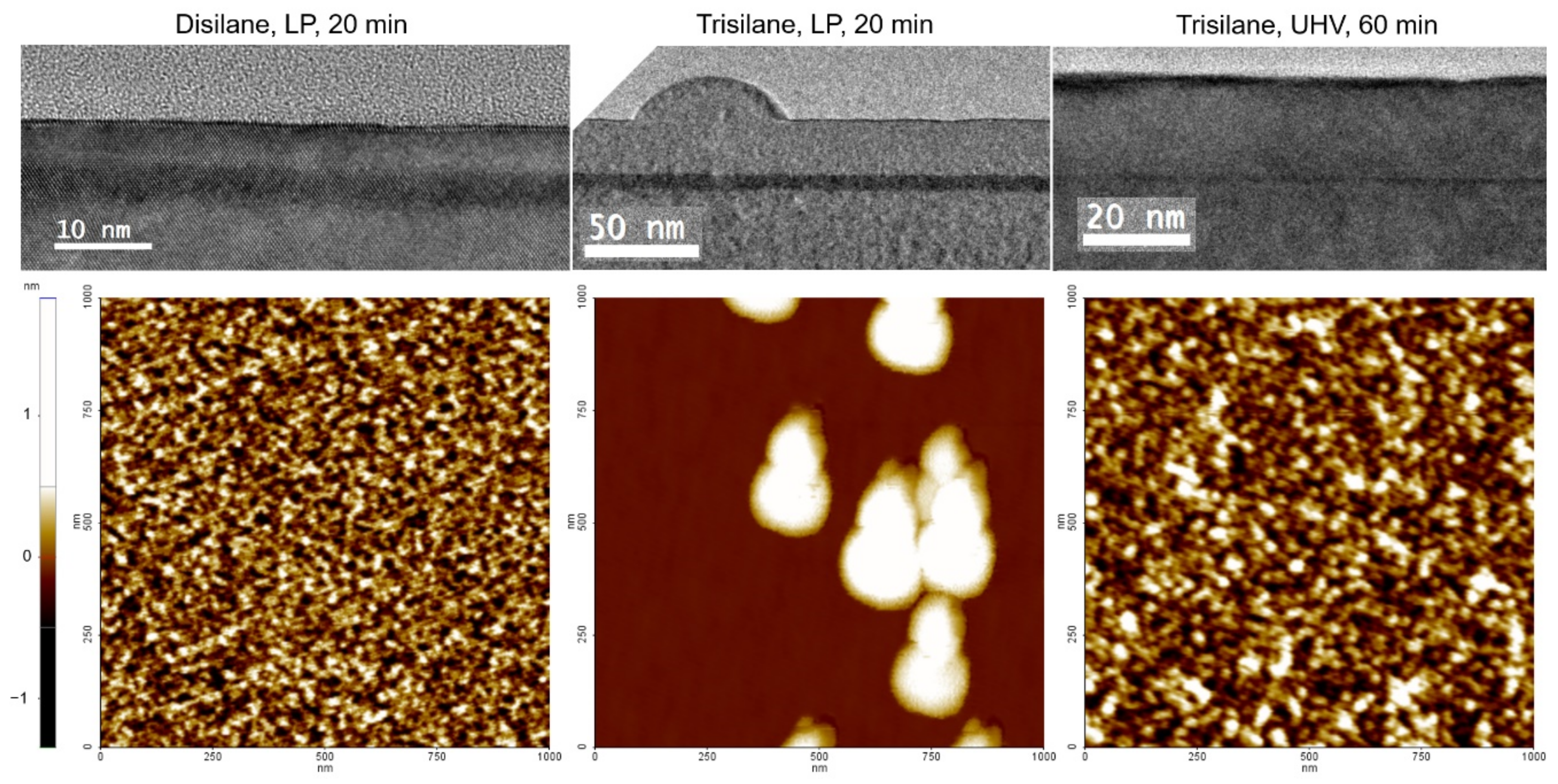 Coatings 11 00568 g005