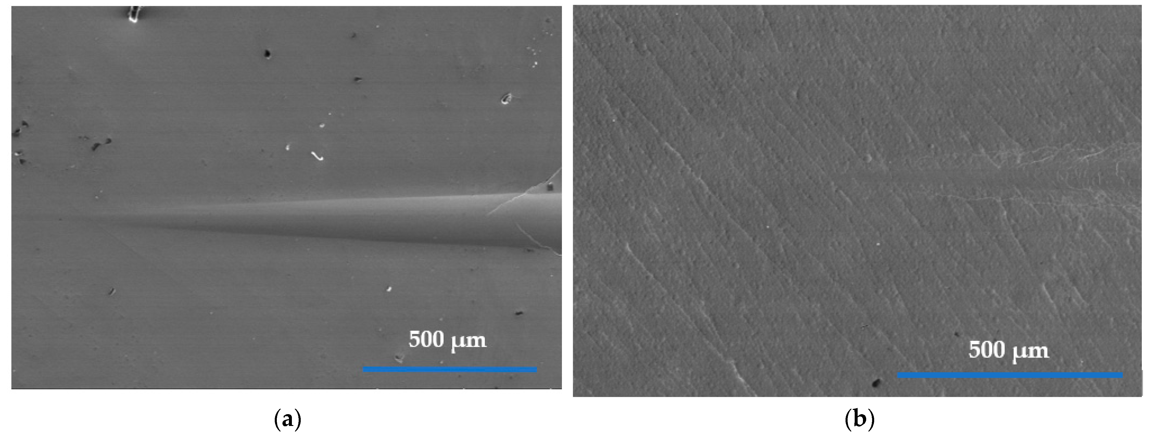 Coatings 11 00576 g005