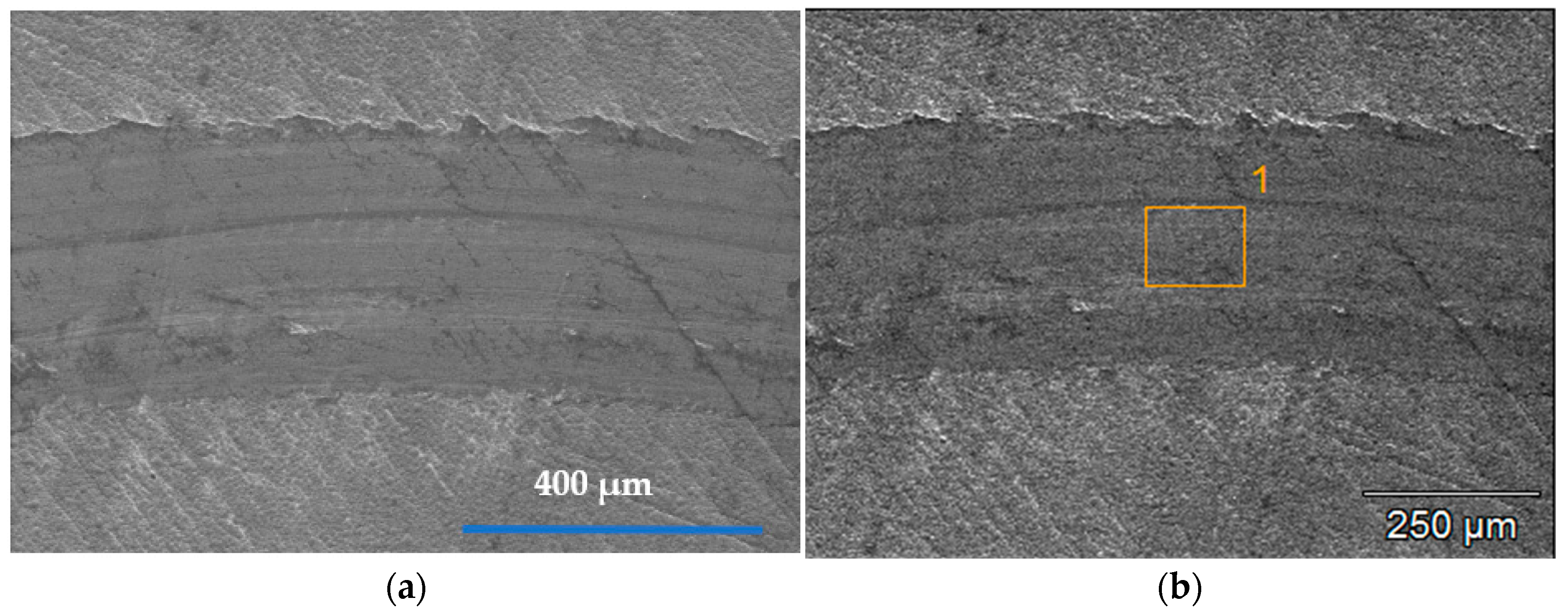 Coatings 11 00576 g007a