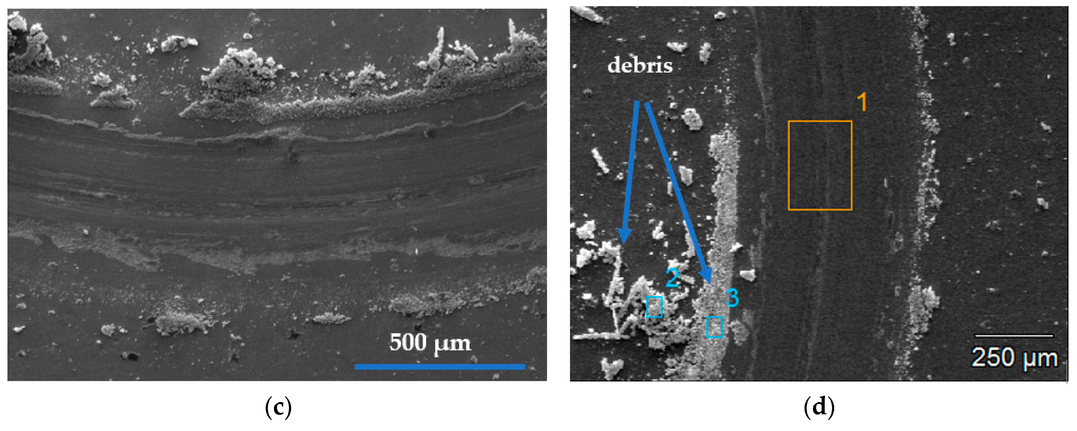 Coatings 11 00576 g007b