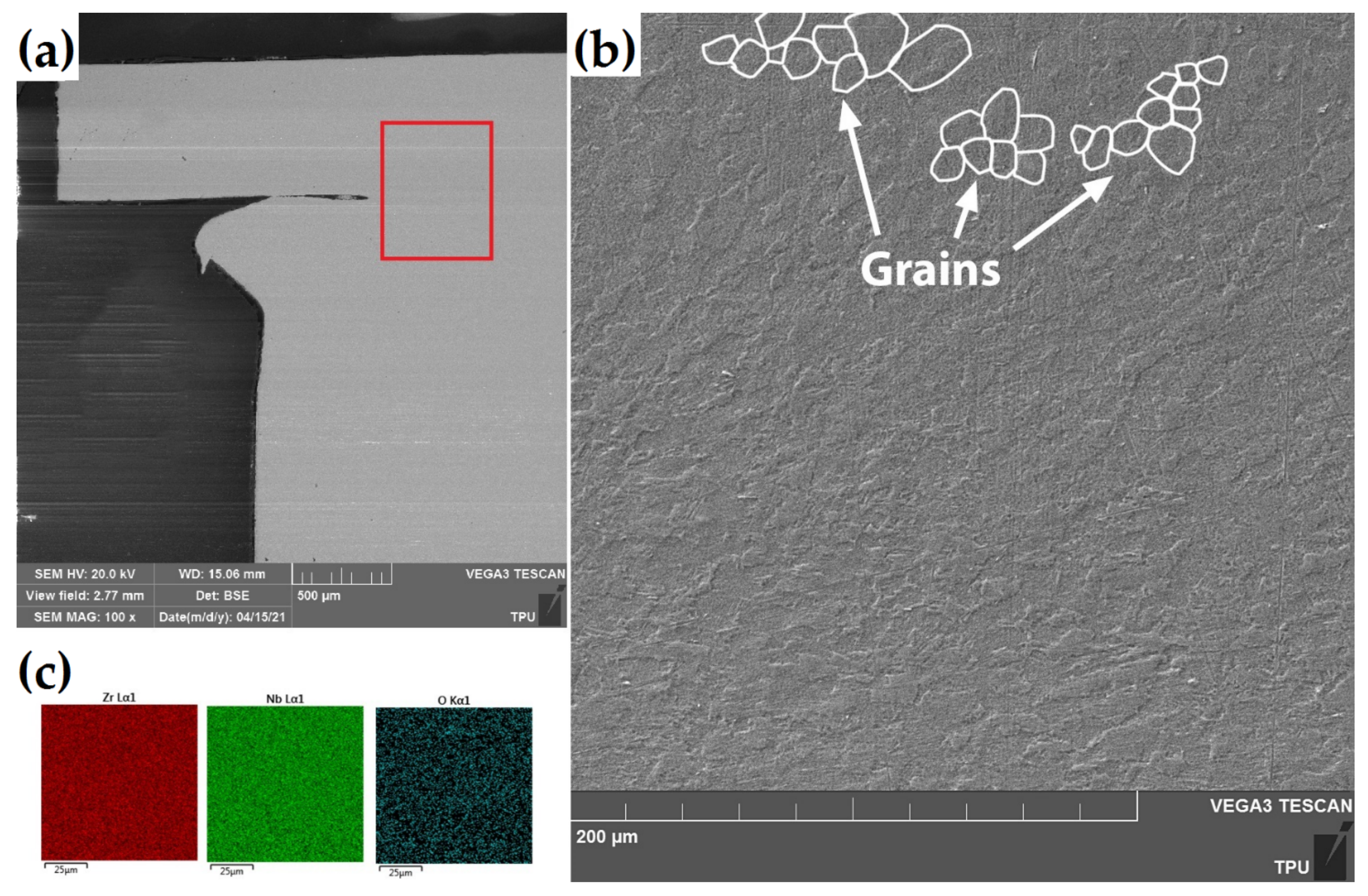 Coatings 11 00577 g003