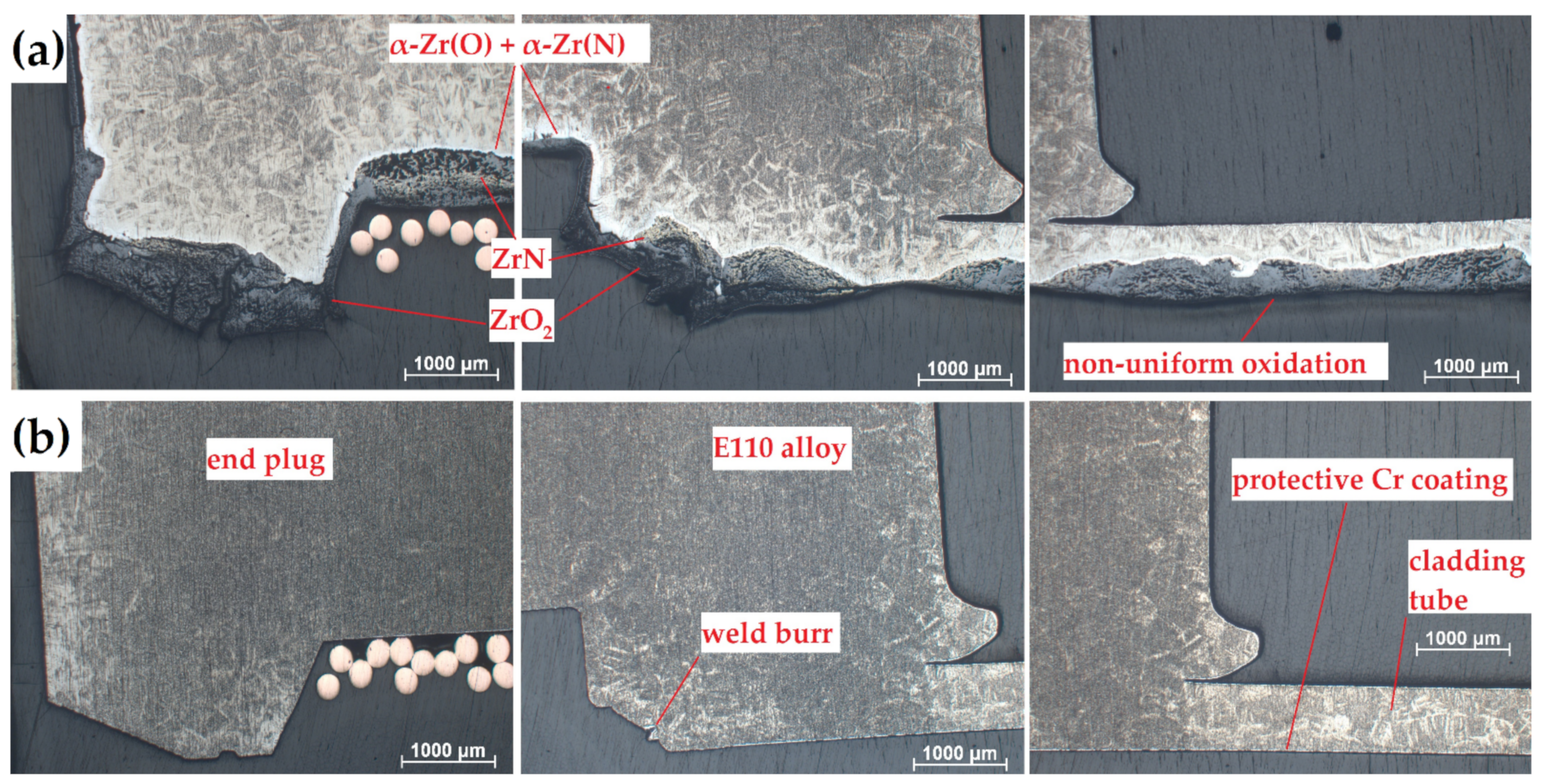 Coatings 11 00577 g005