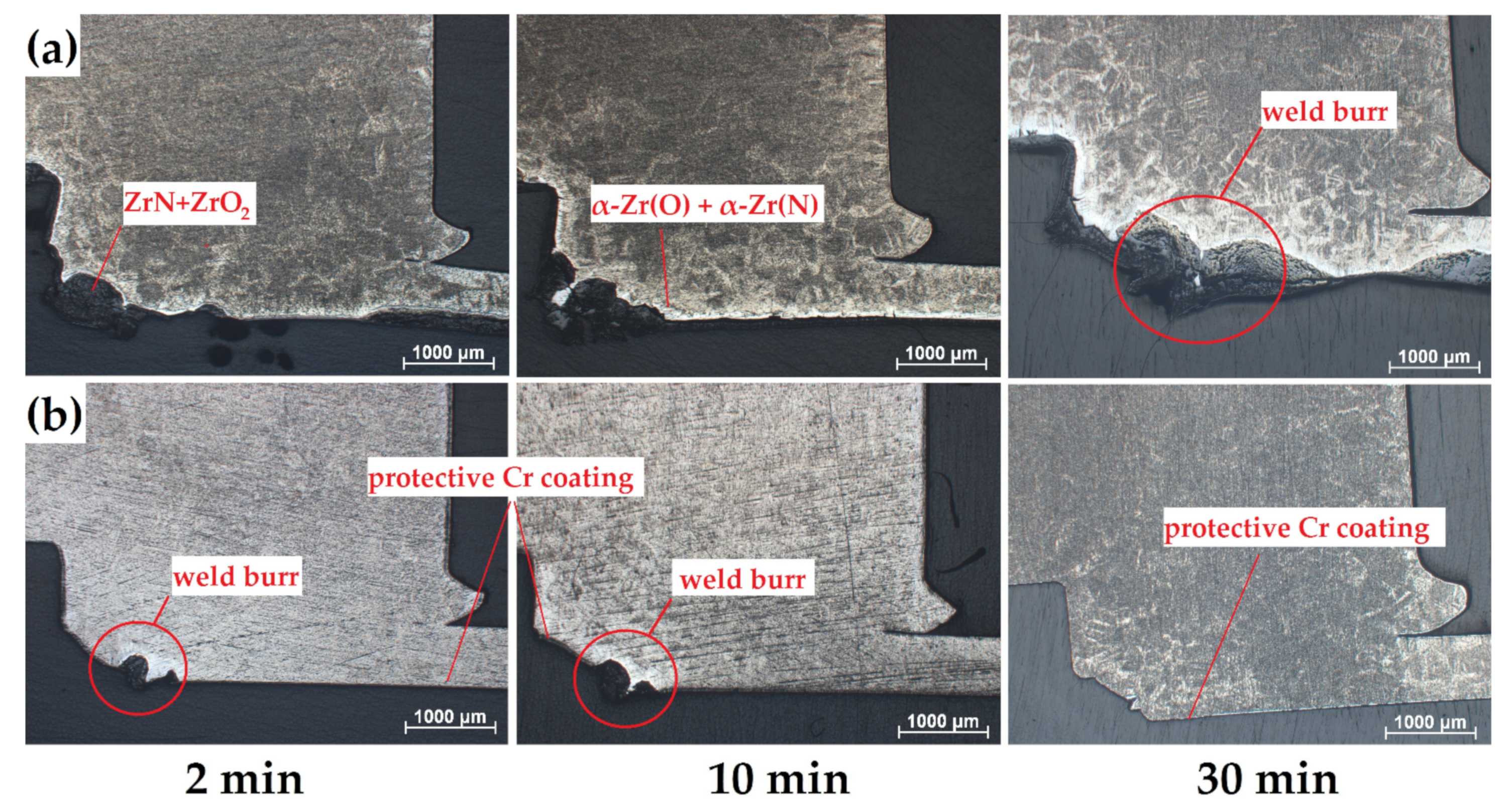 Coatings 11 00577 g006