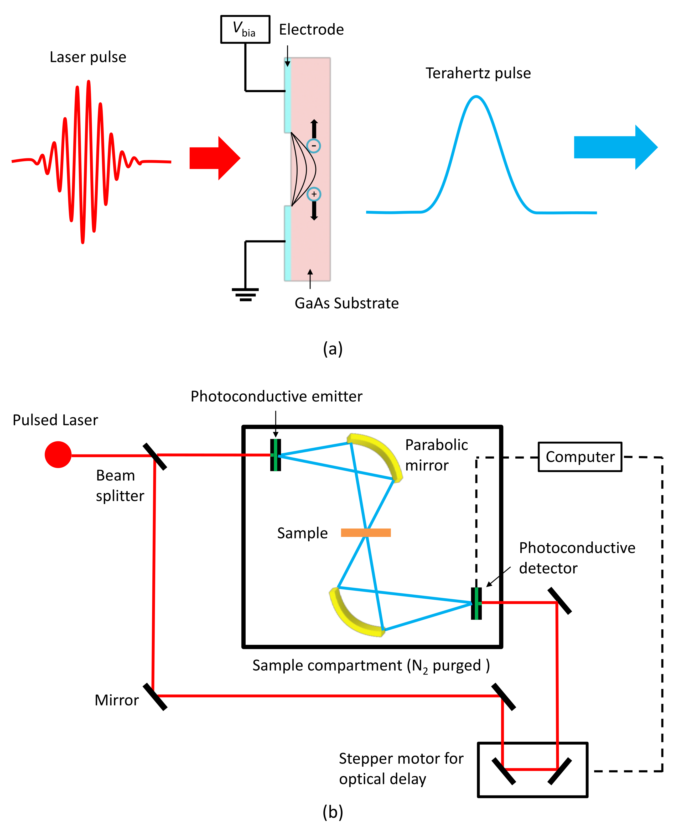 Coatings 11 00578 g002