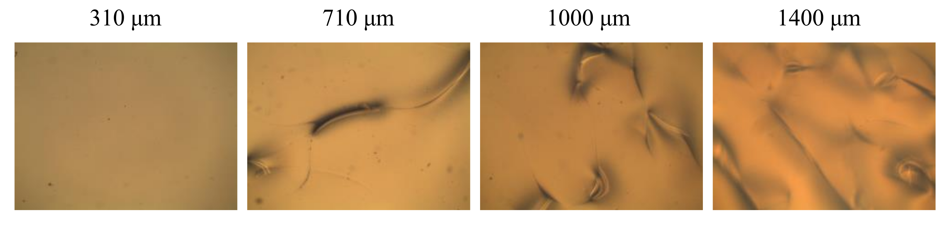 Coatings 11 00578 g011