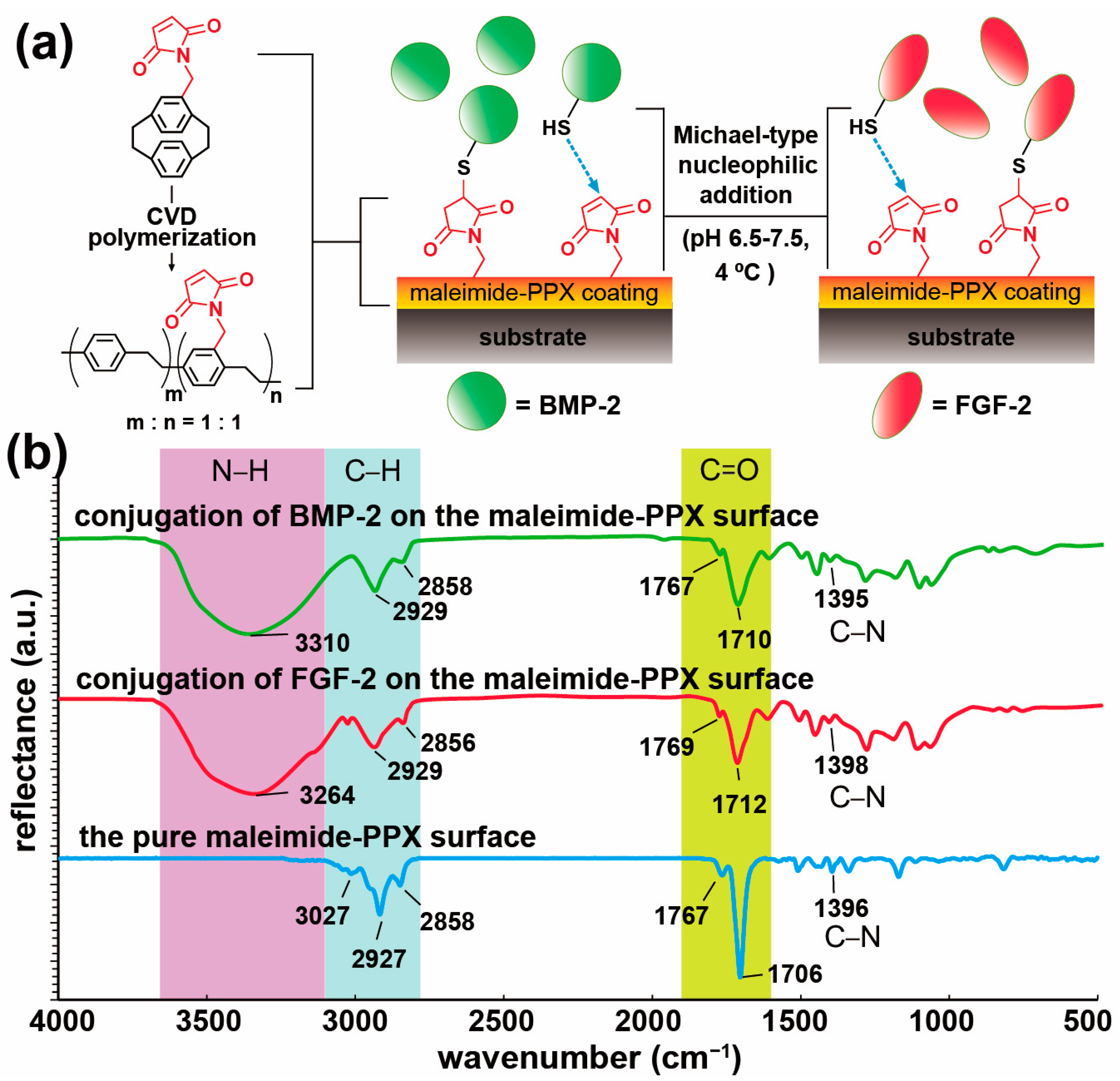 Coatings 11 00582 g001 Coatings 11 00582 g001